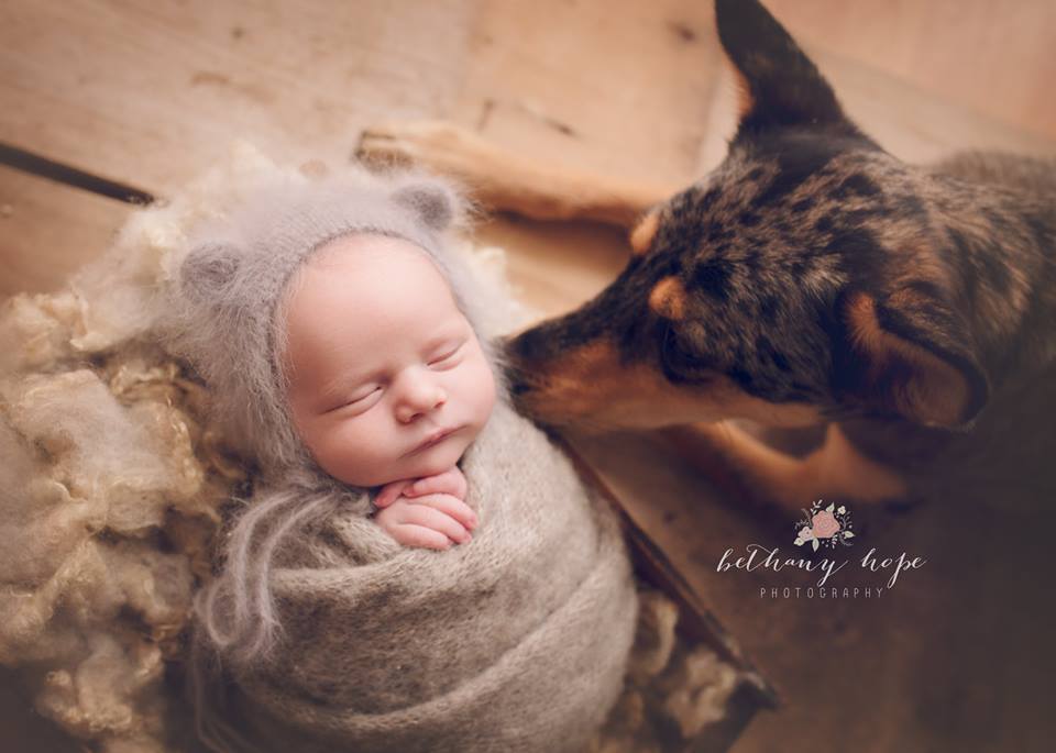 bear + his pup <3 i'm a little obsessed with this :) 