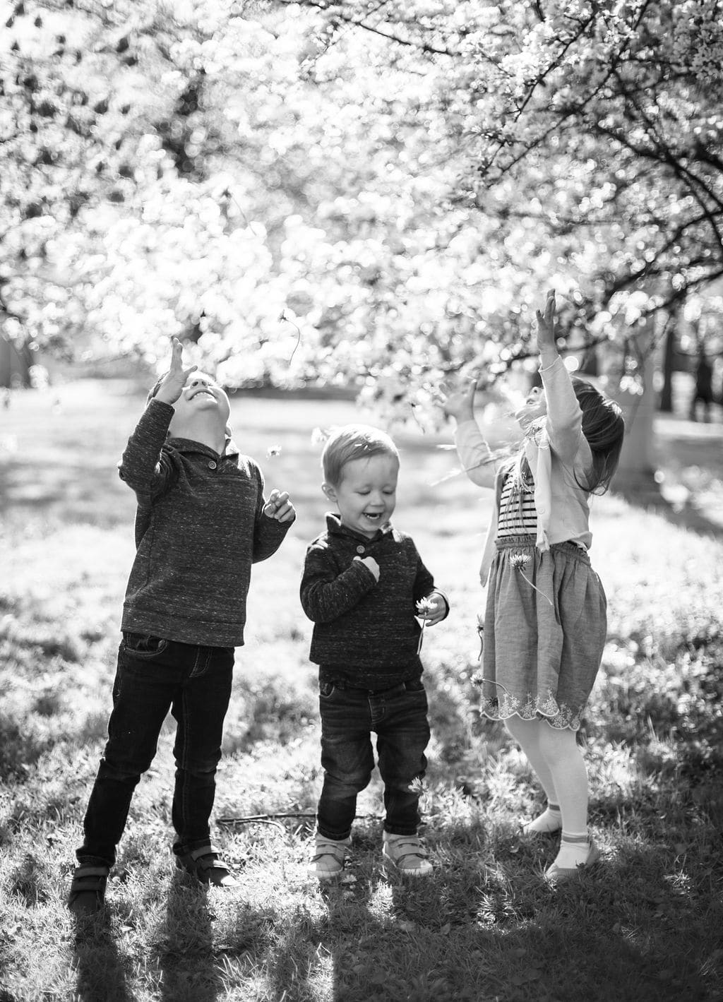 siblings playing in photo shoot in Chicago in spring 