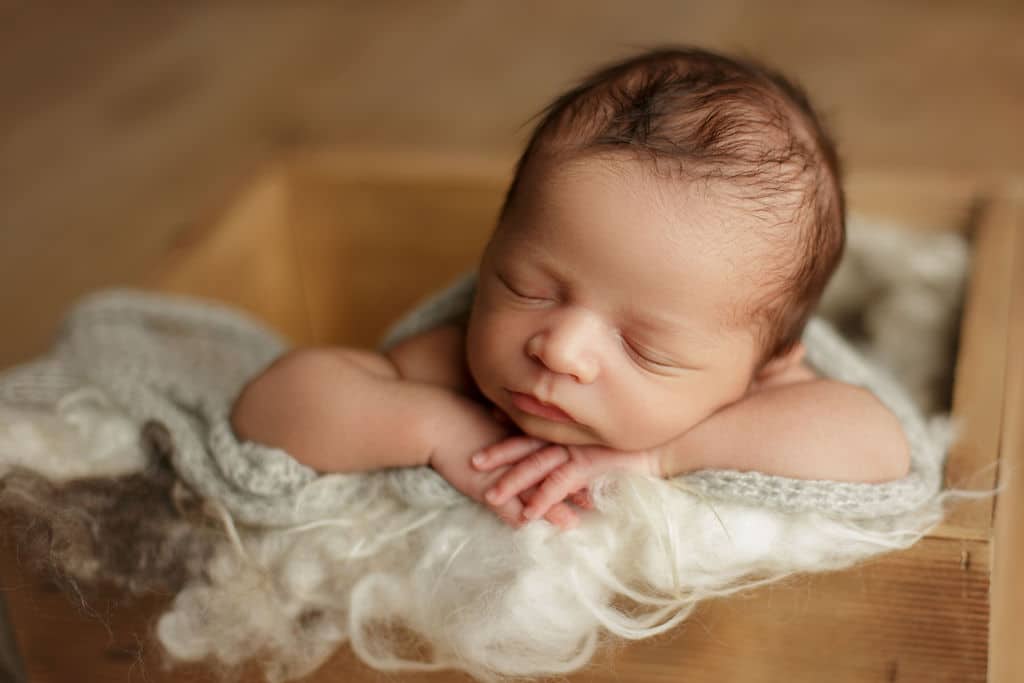 newborn photographer Chicago