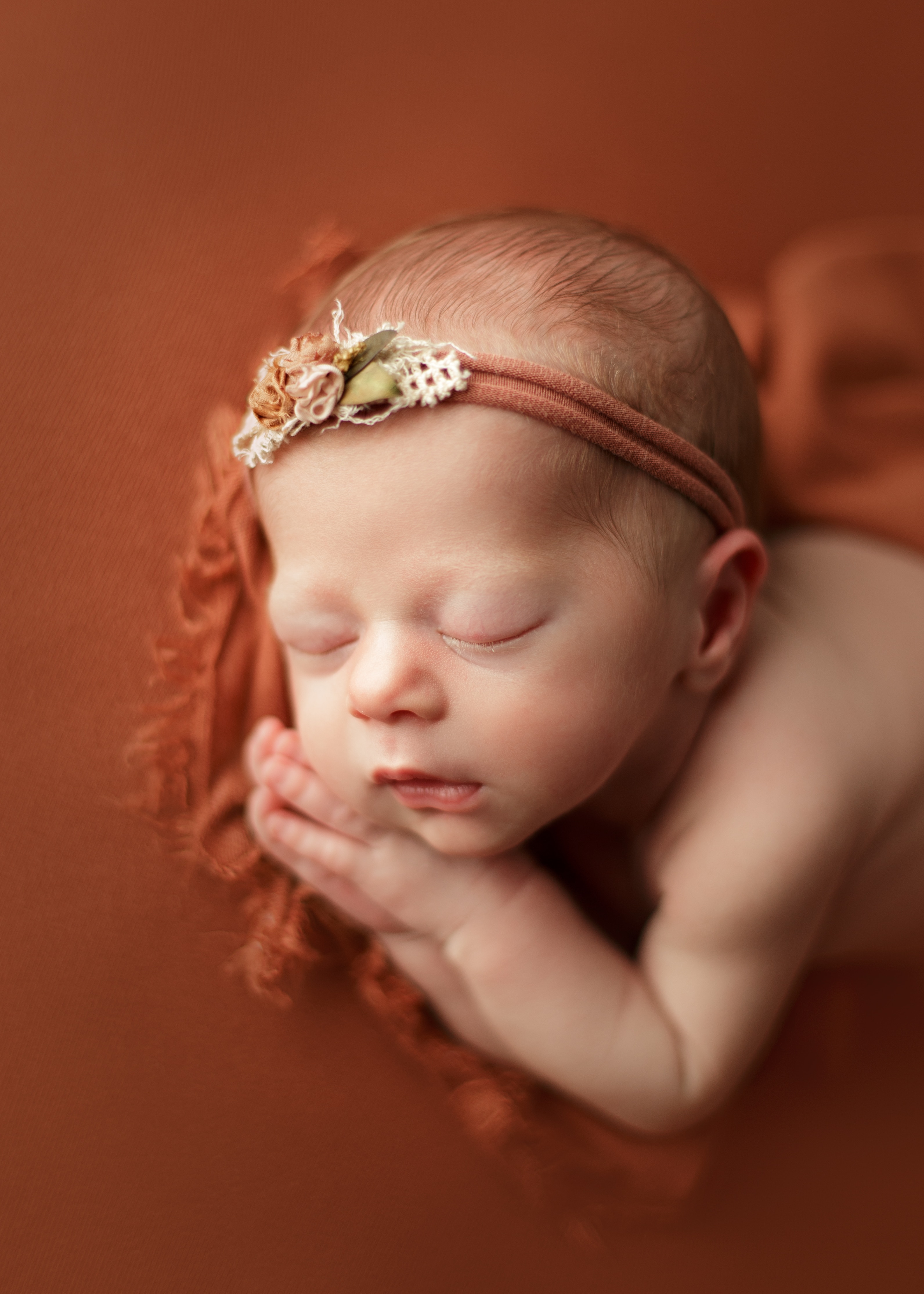 newborn photography in the Chicago area