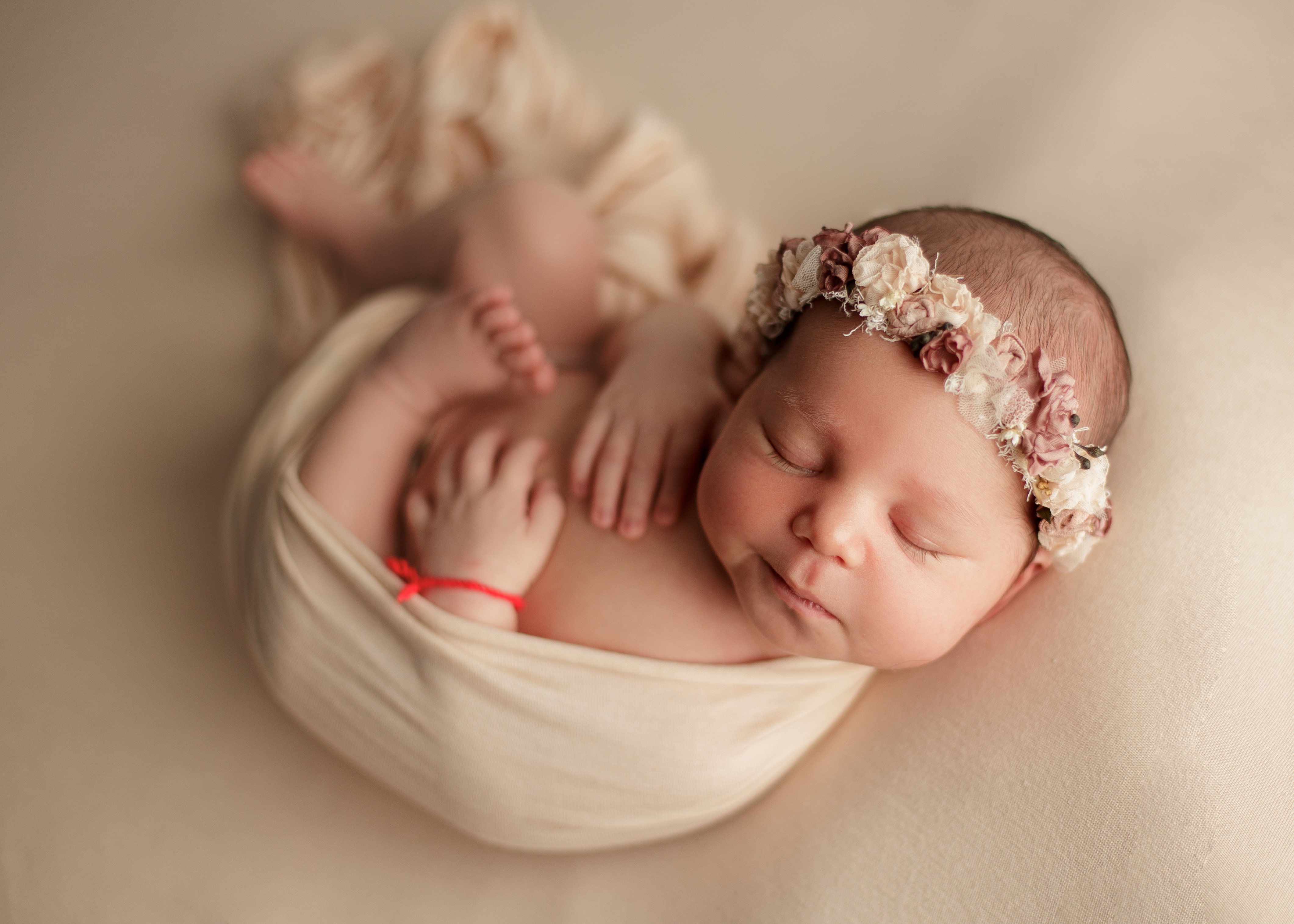 newborn photographer Chicago