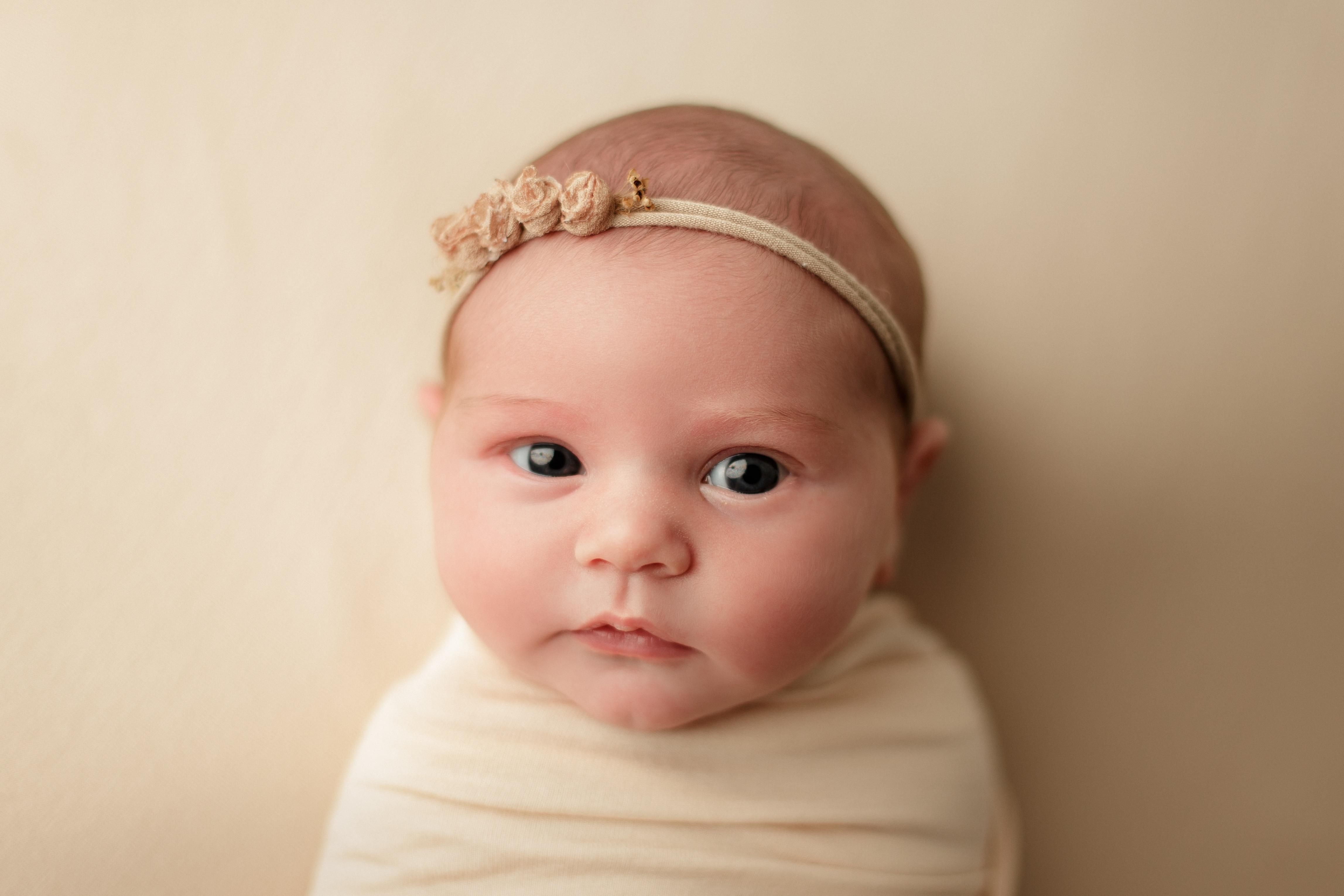 Chicagoland newborn photographer