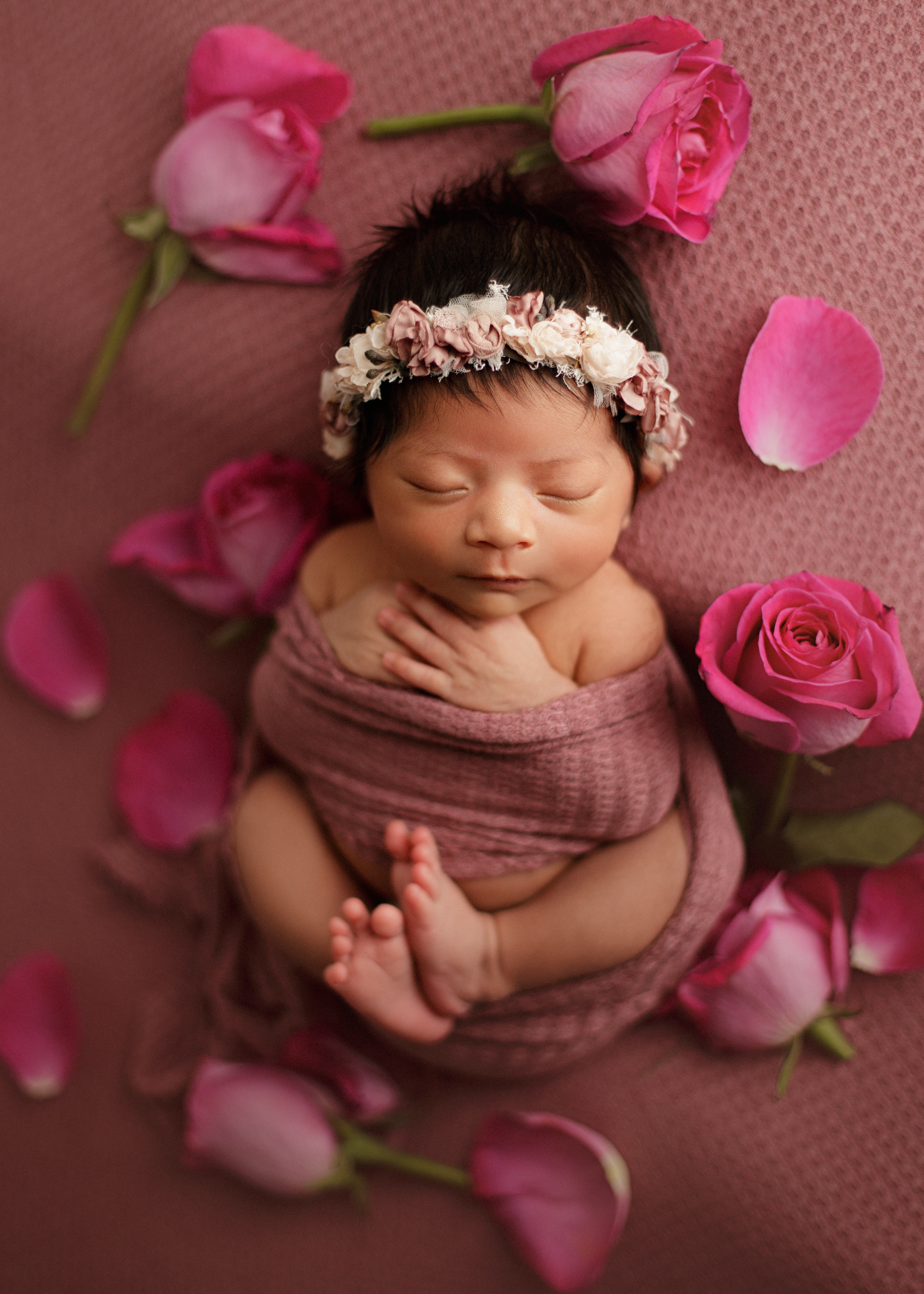 newborn baby girl photo shoot