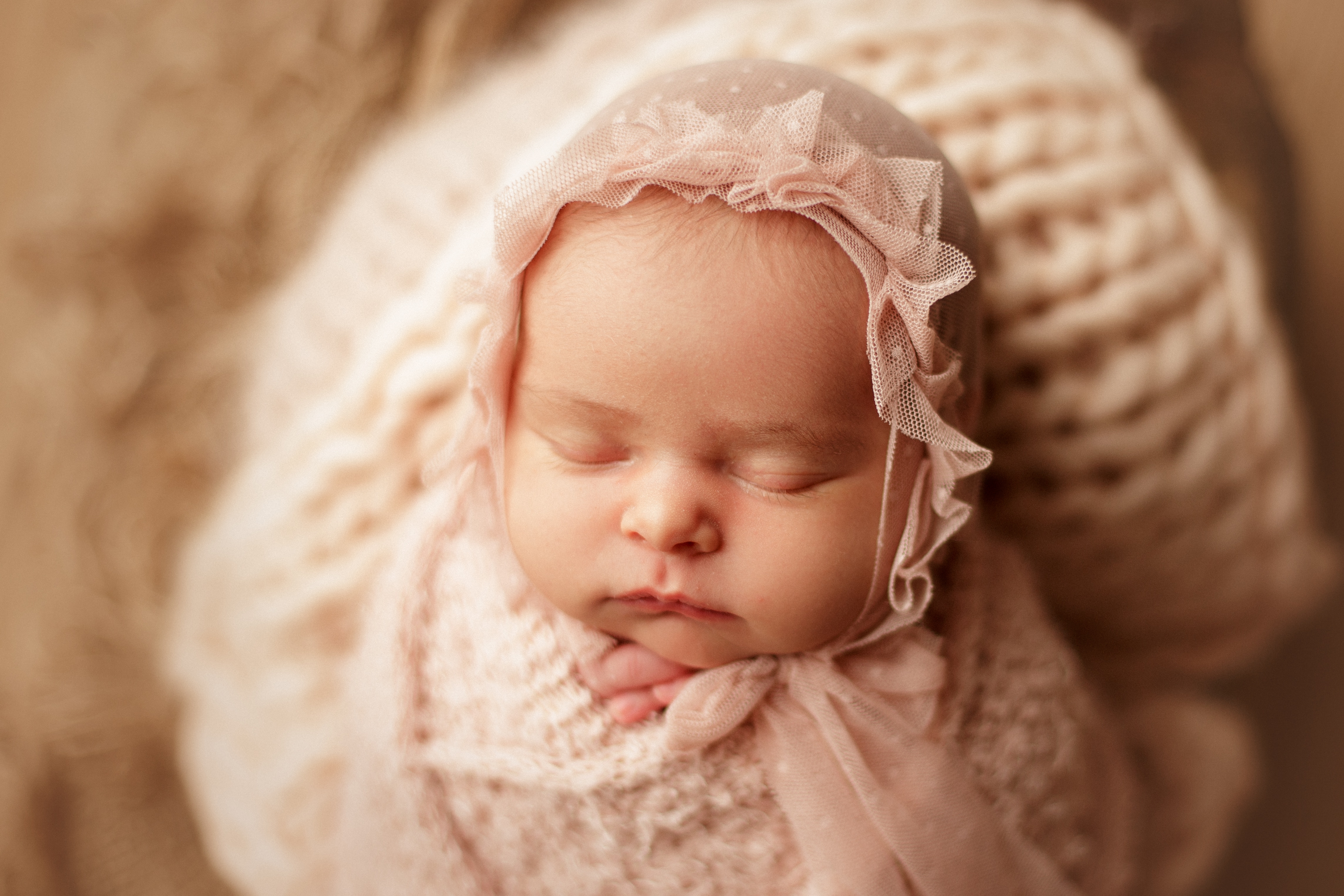 newborn photographer Chicago