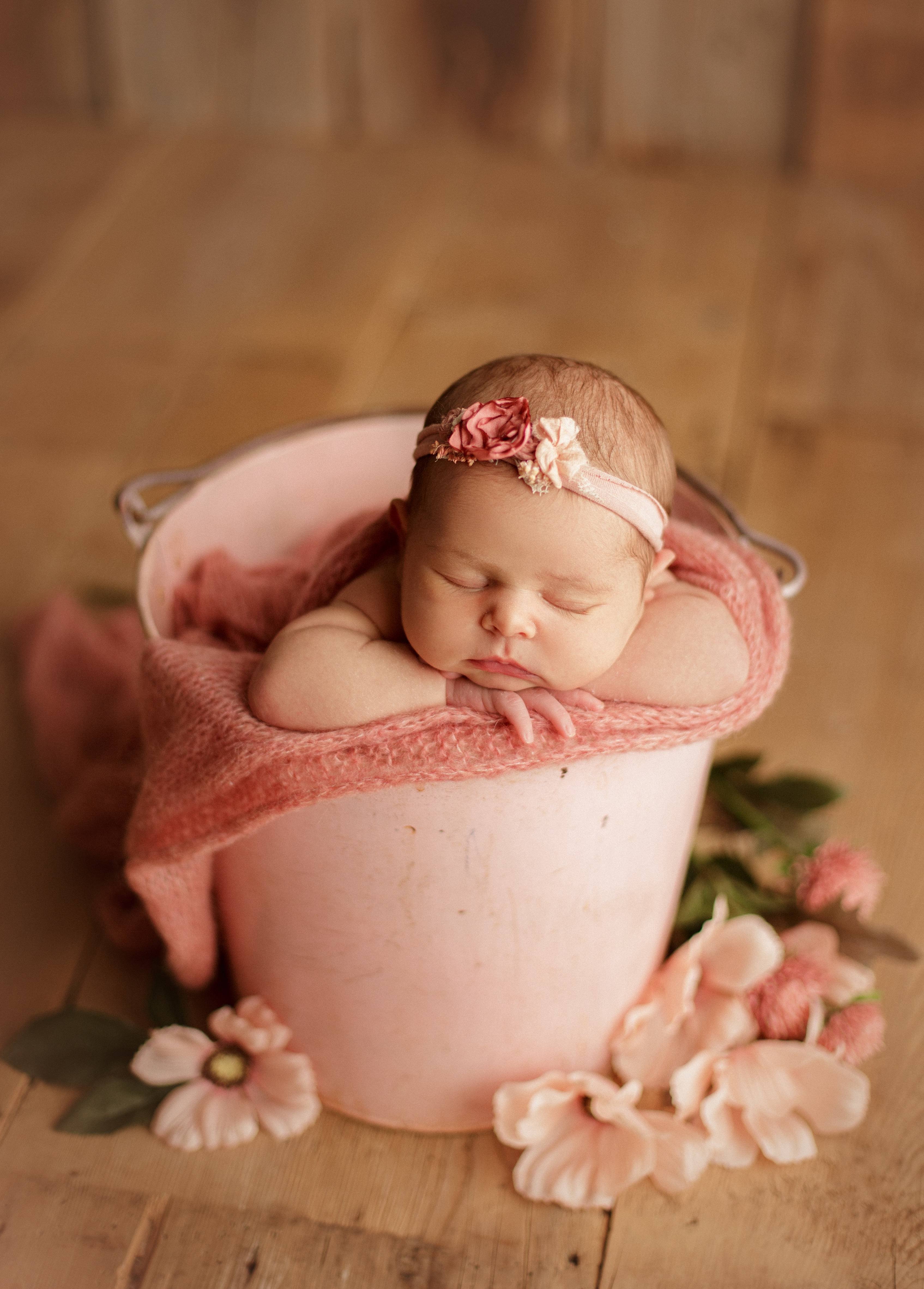 newborn girl in basket