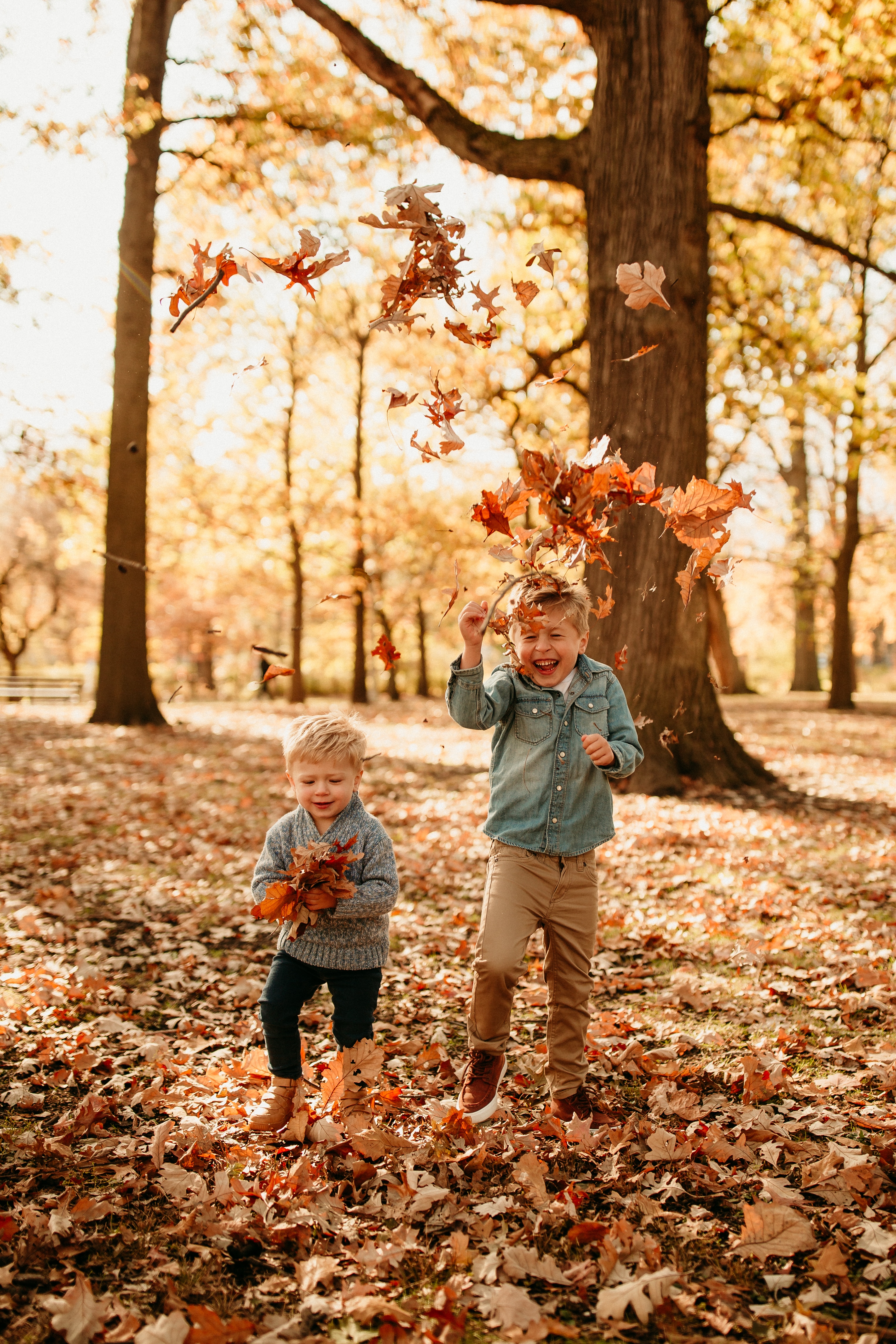 kids playing in the leaves in Chicago