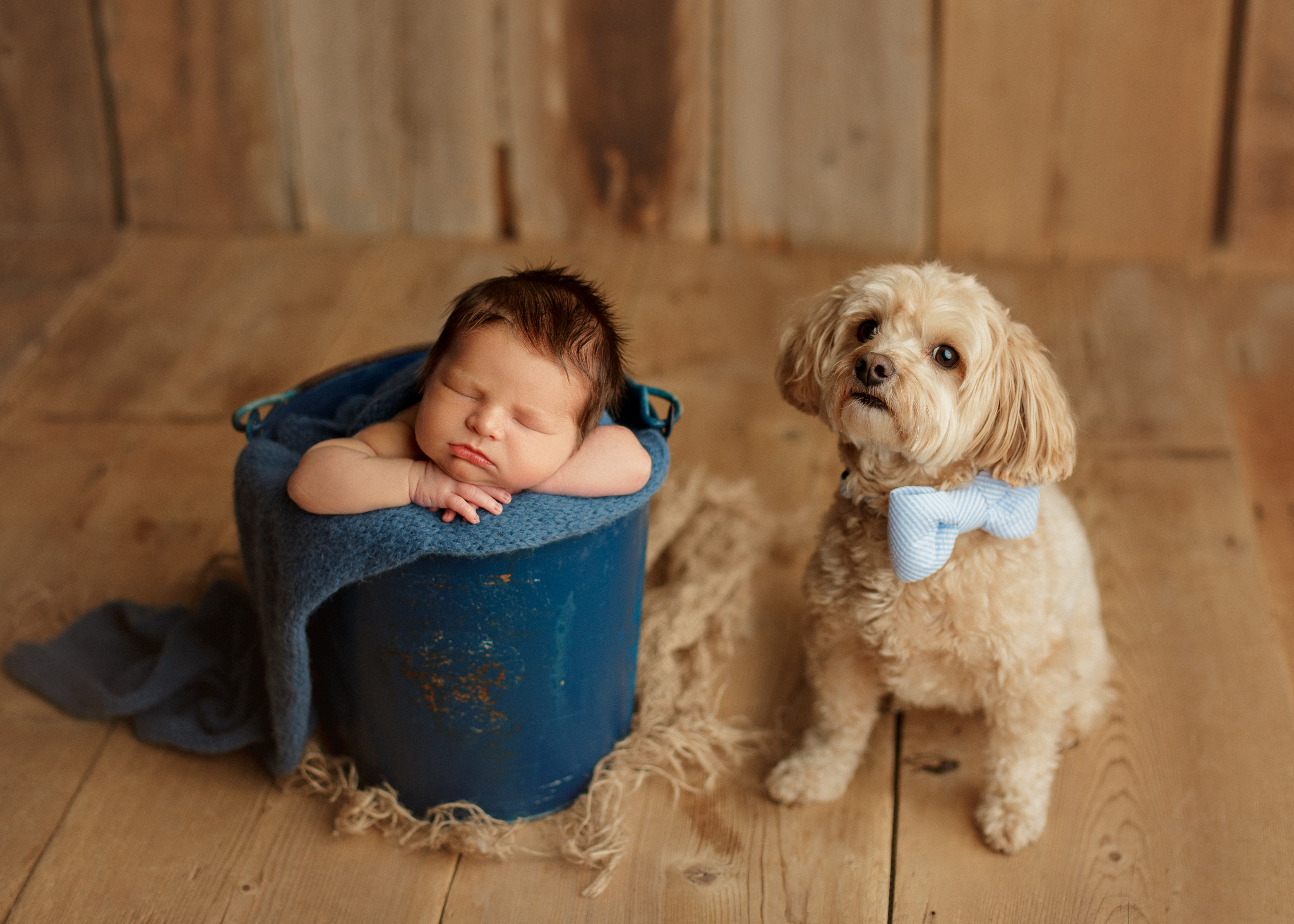 newborn baby boy and his dog