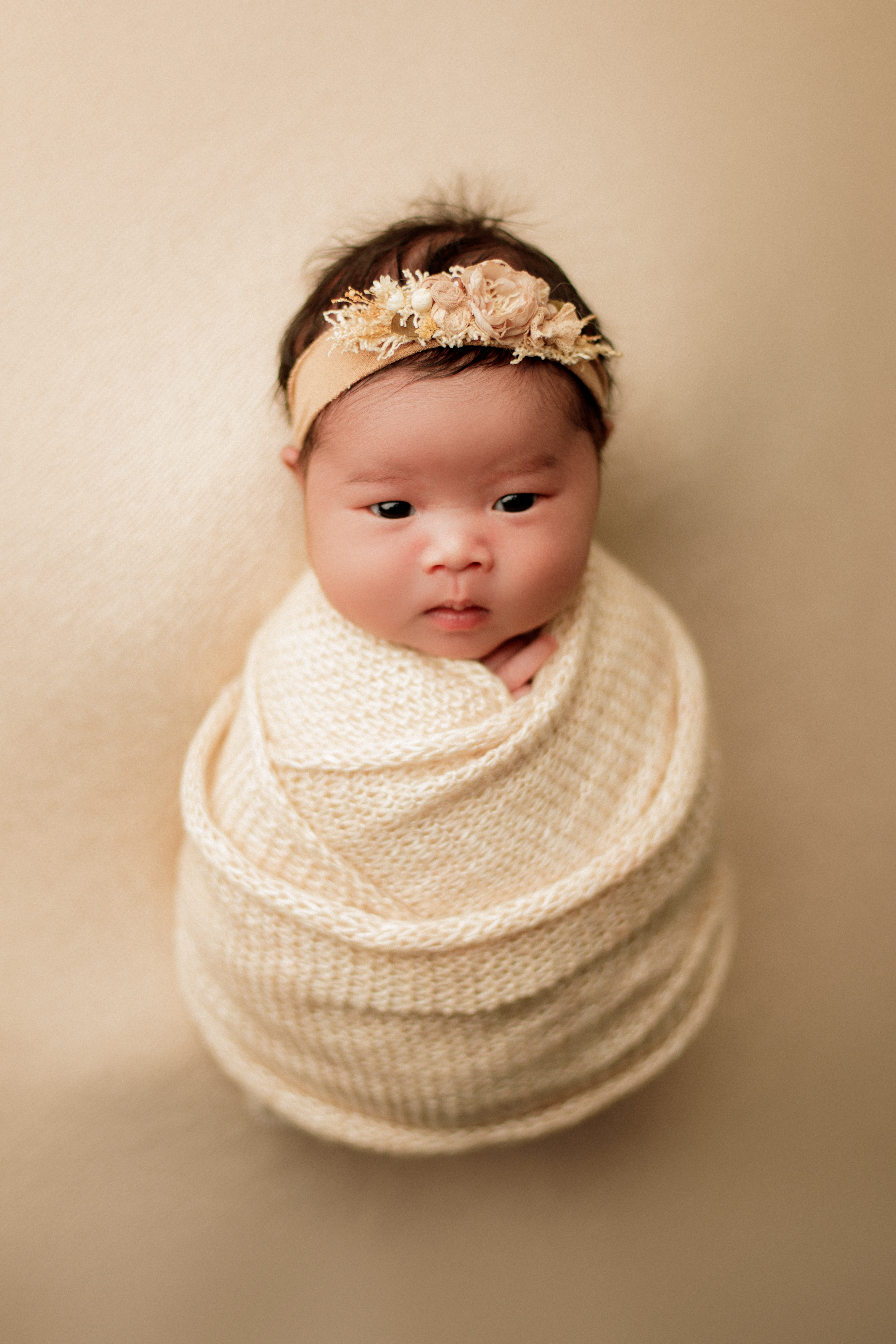 Wilmette newborn photographer 