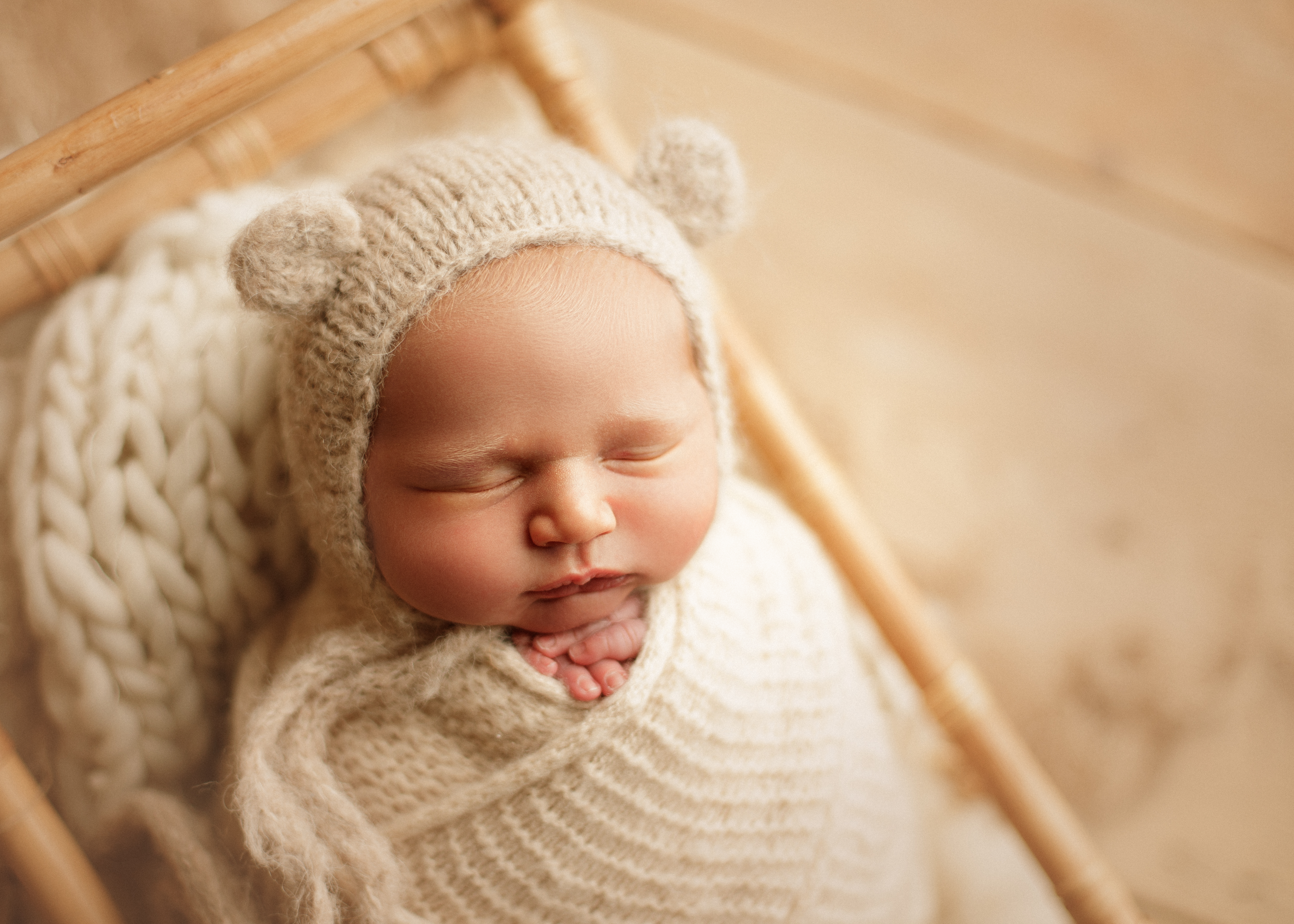 newborn photographer Des Plaines area