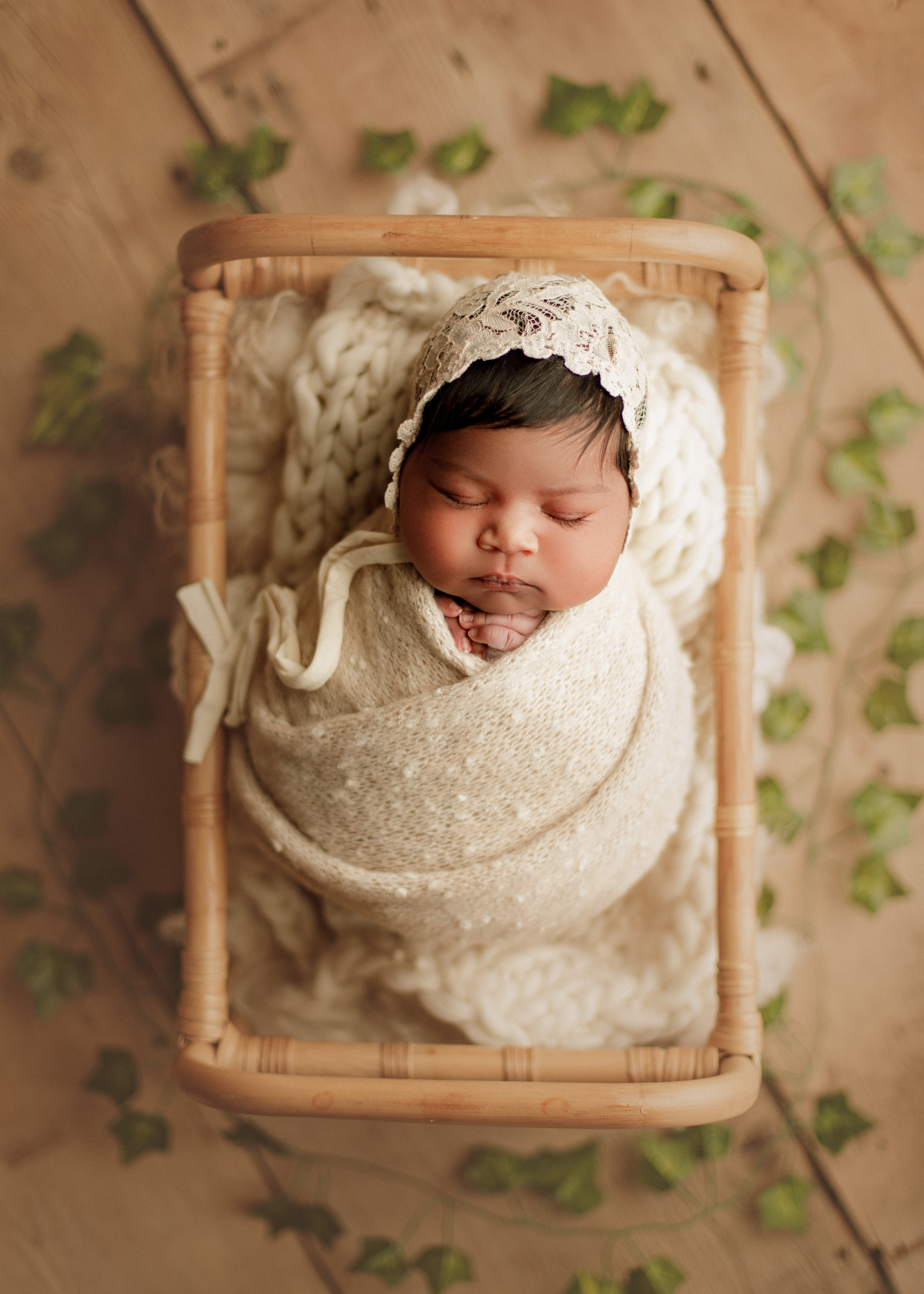 newborn photography Chicago