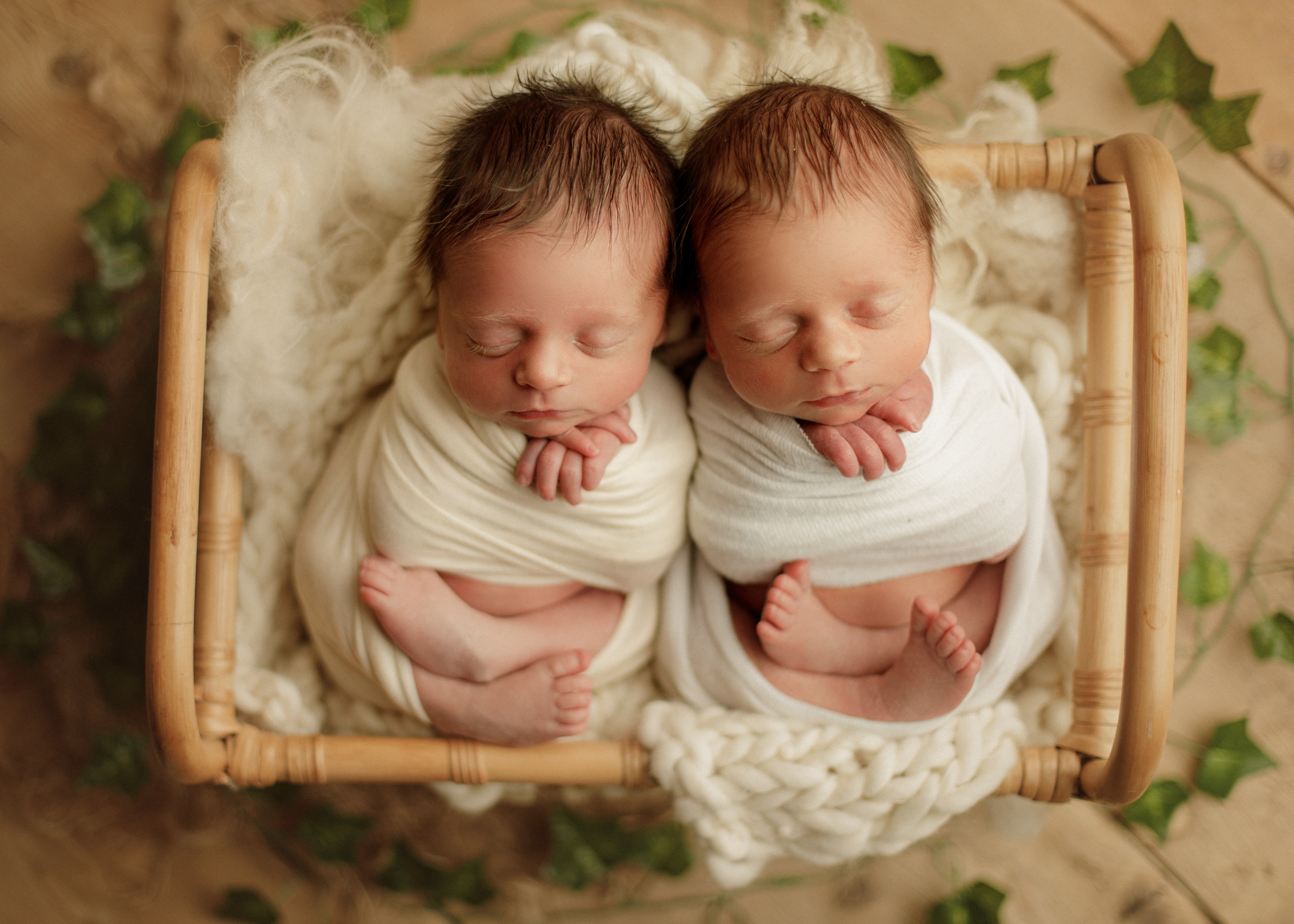 twin newborn photography Chicago