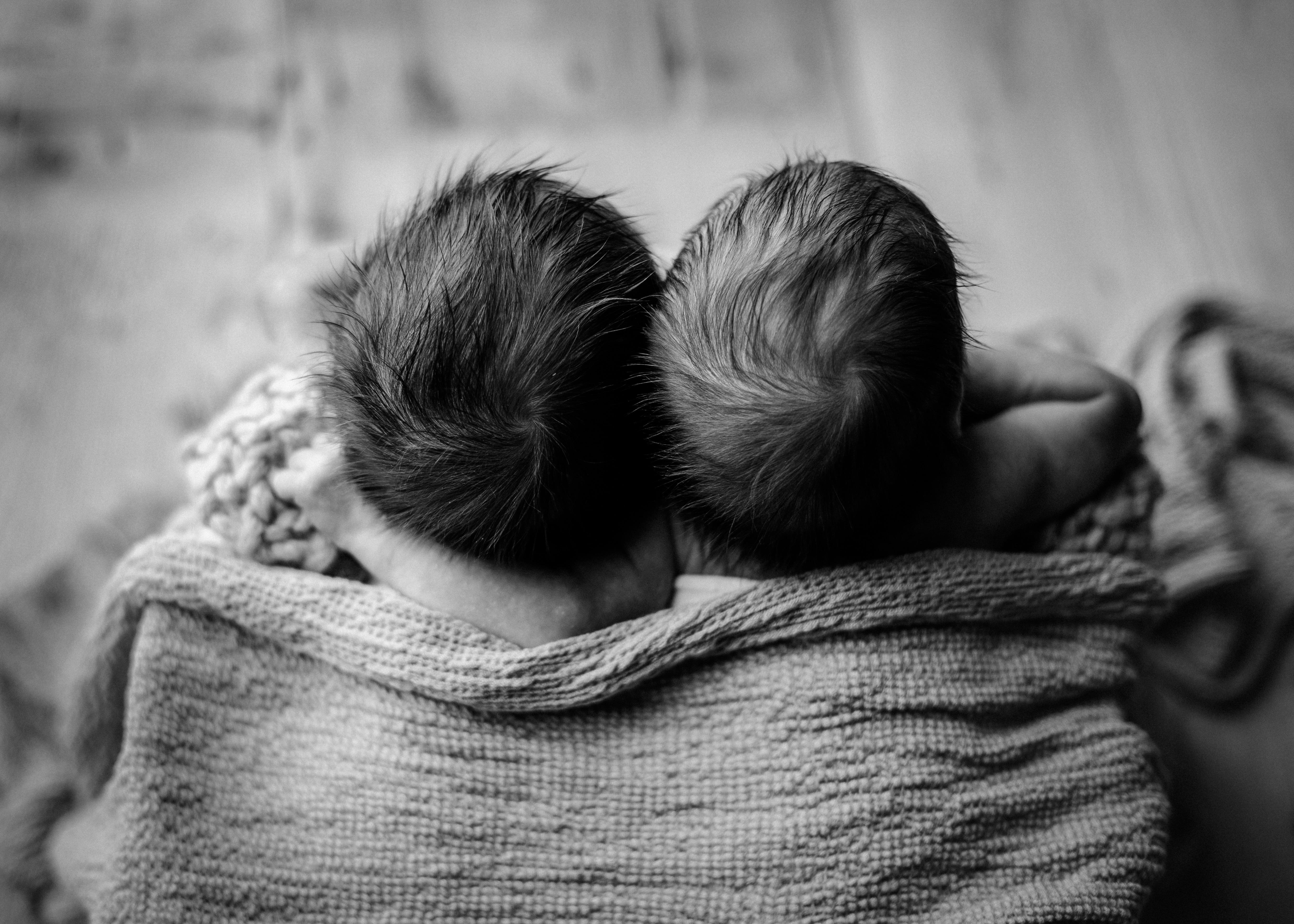 twin black and white newborn photography