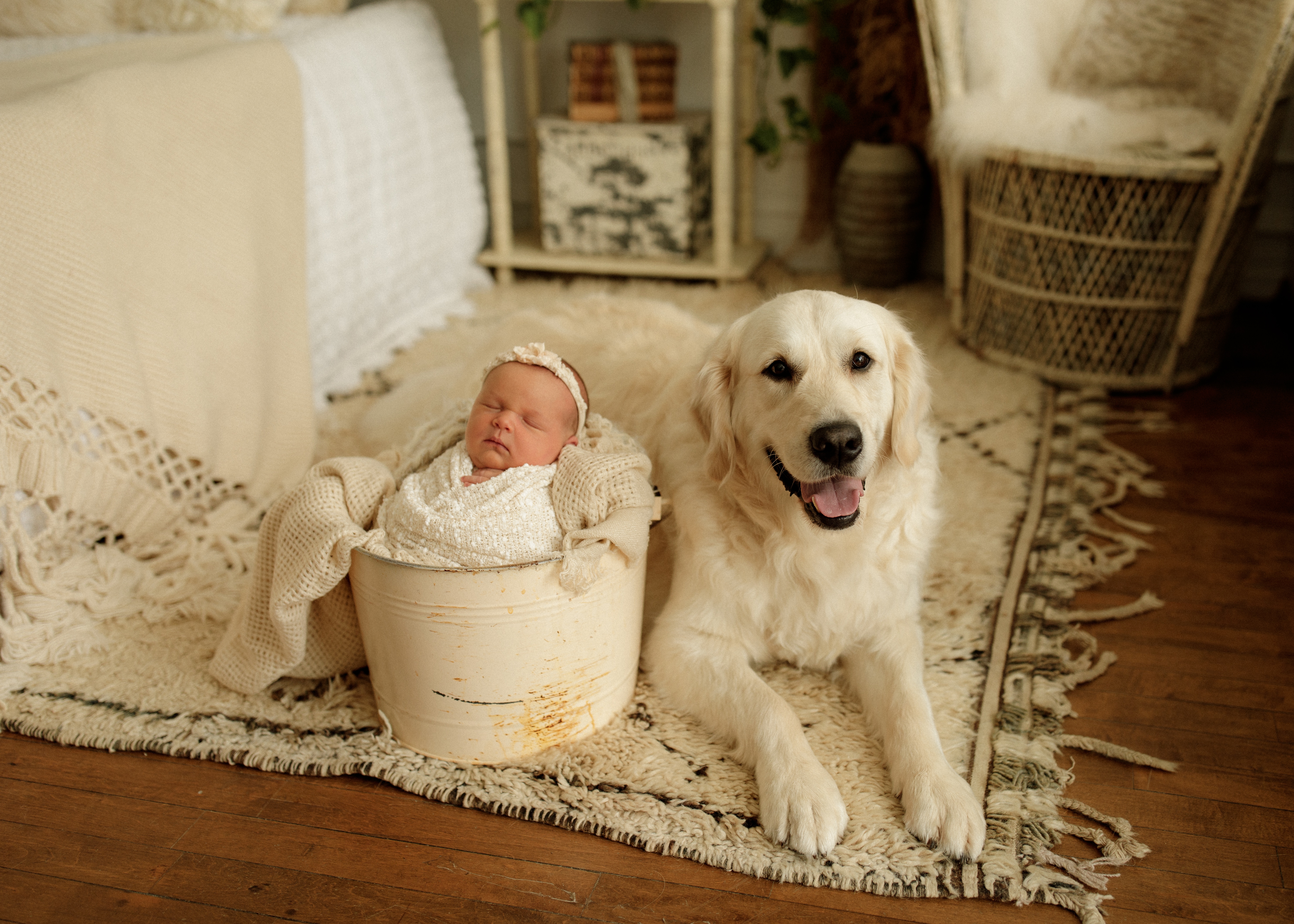 Chicago baby photographer