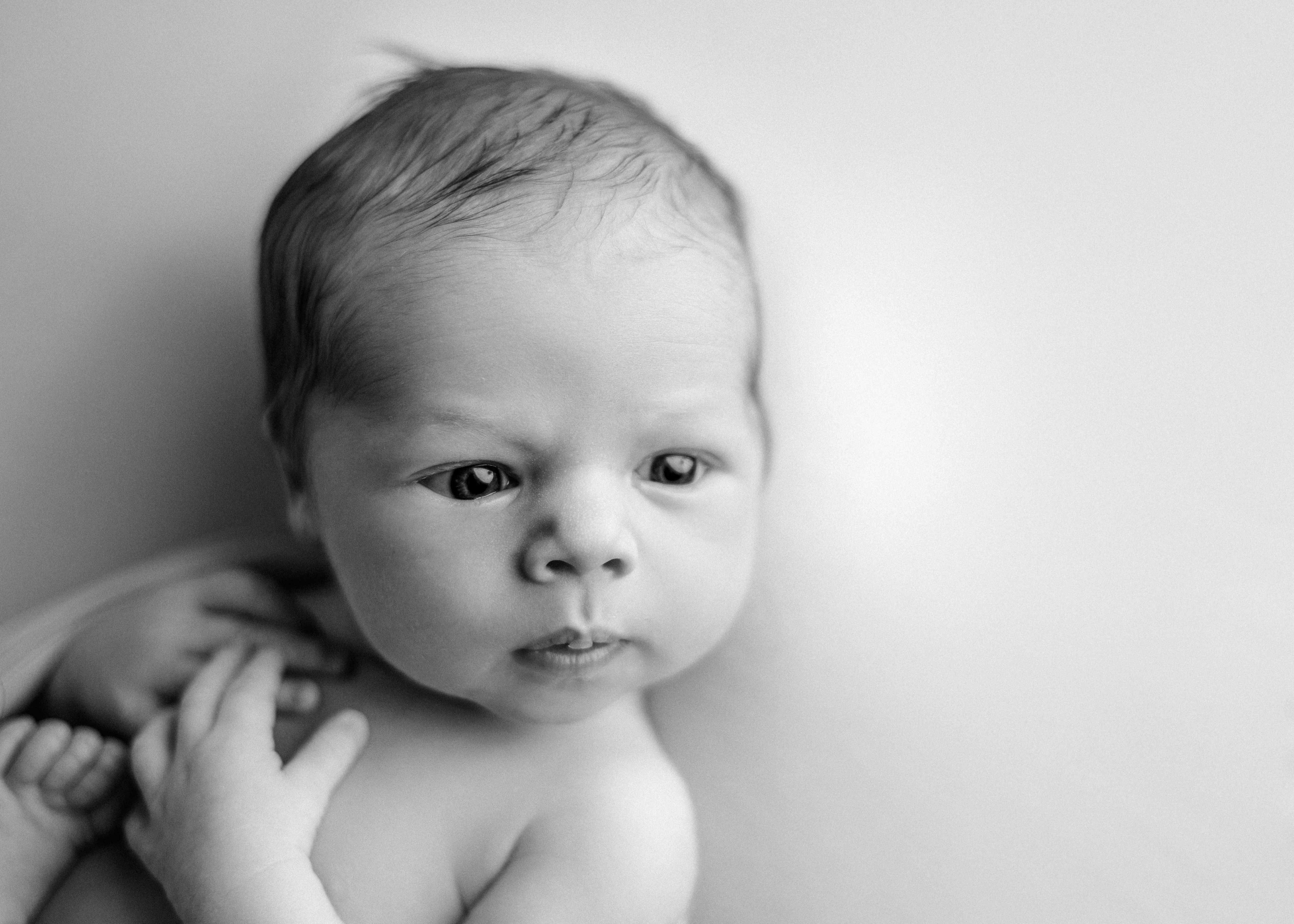 black and white newborn photography Chicago