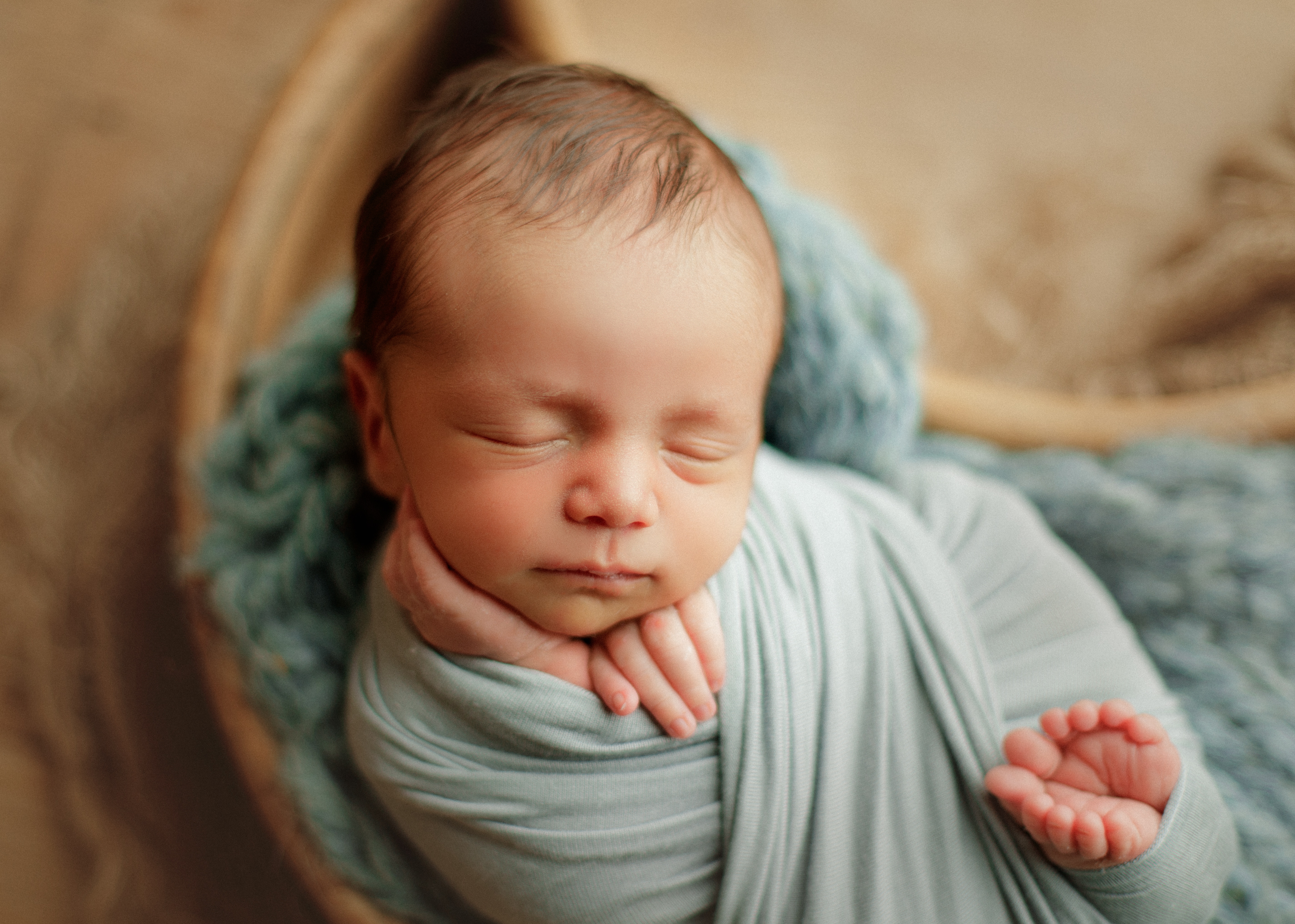 Glenview newborn photographer