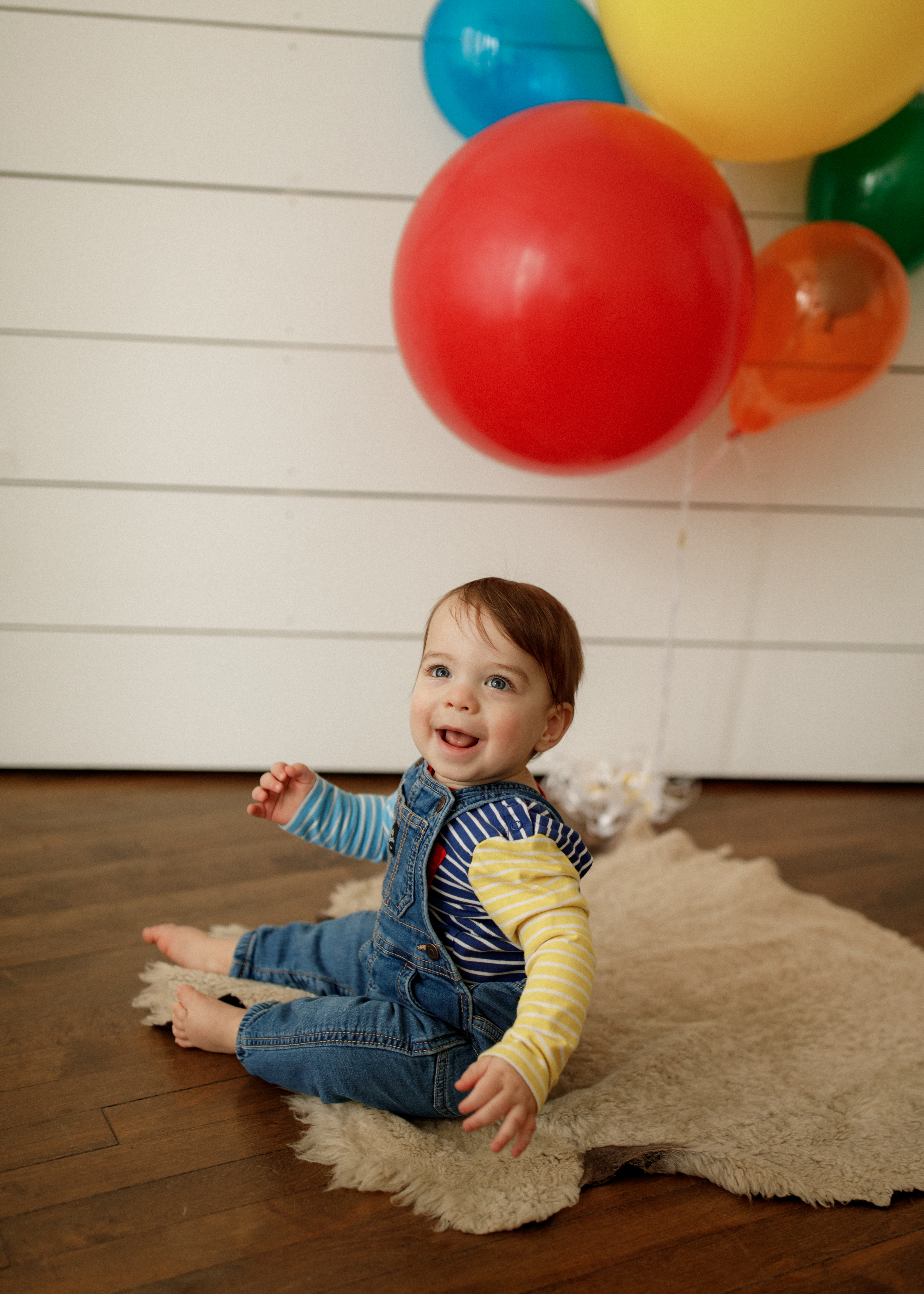 first birthday milestone photo shoot