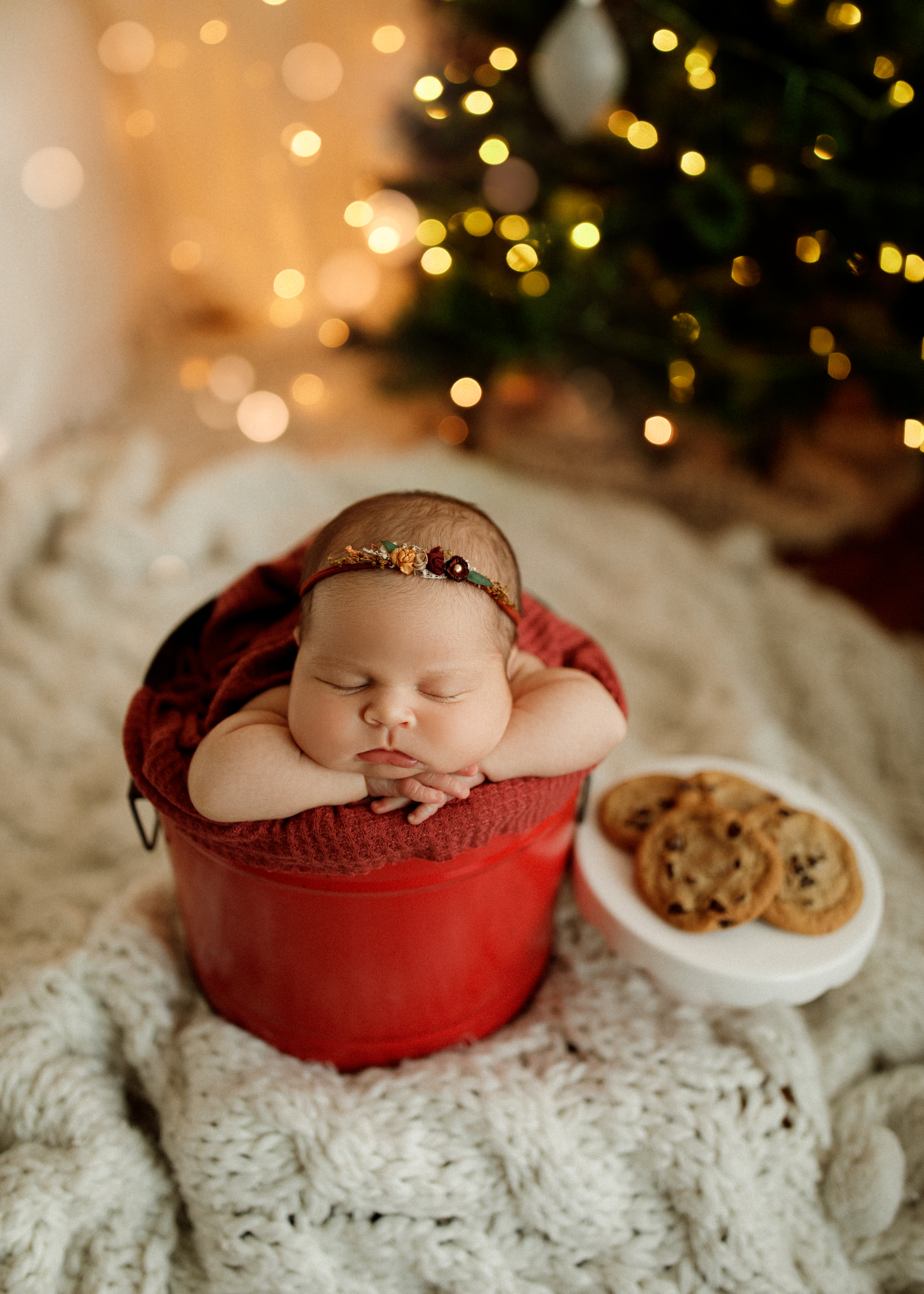 newborn Christmas baby Chicago