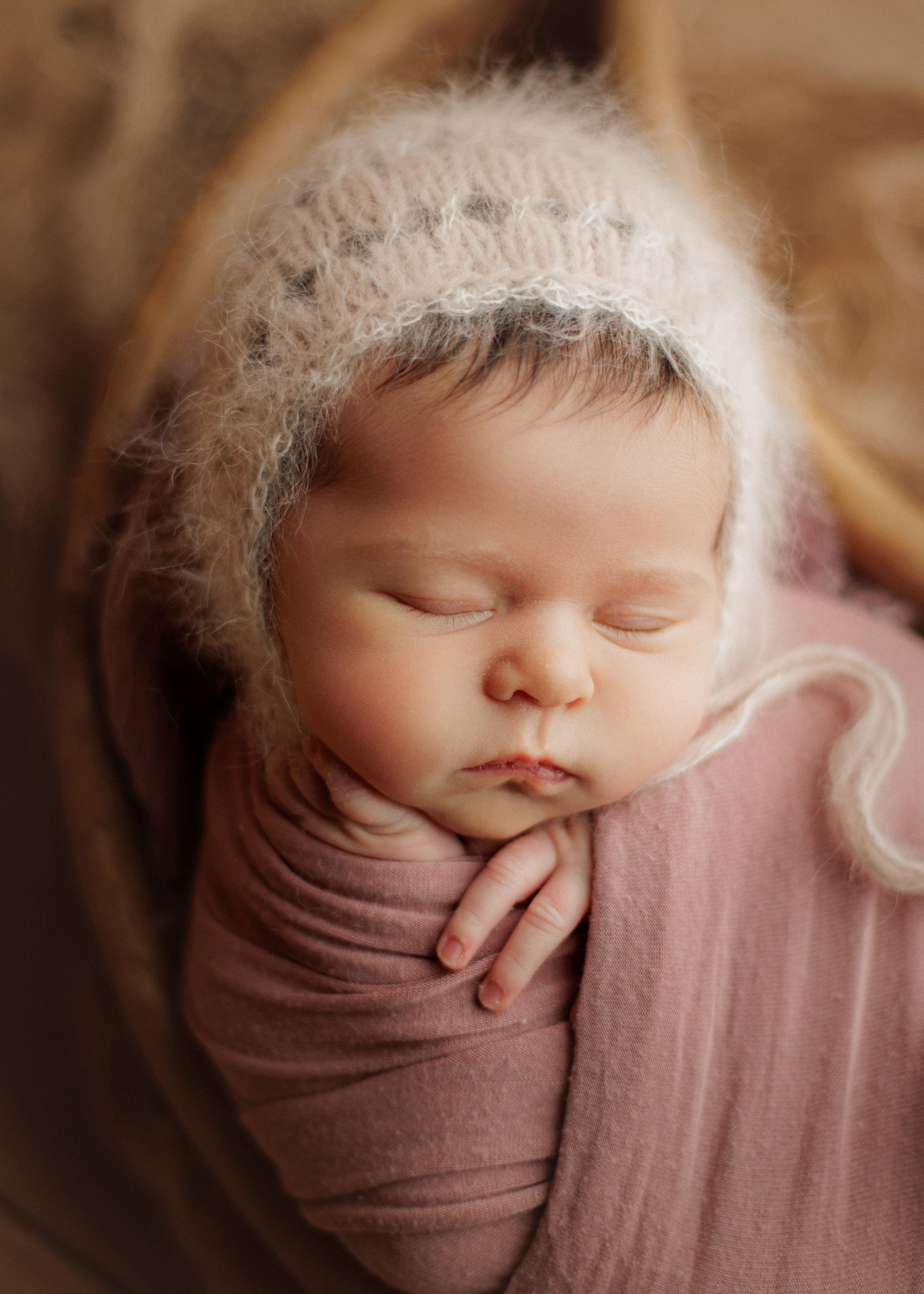 newborn photography Winnetka