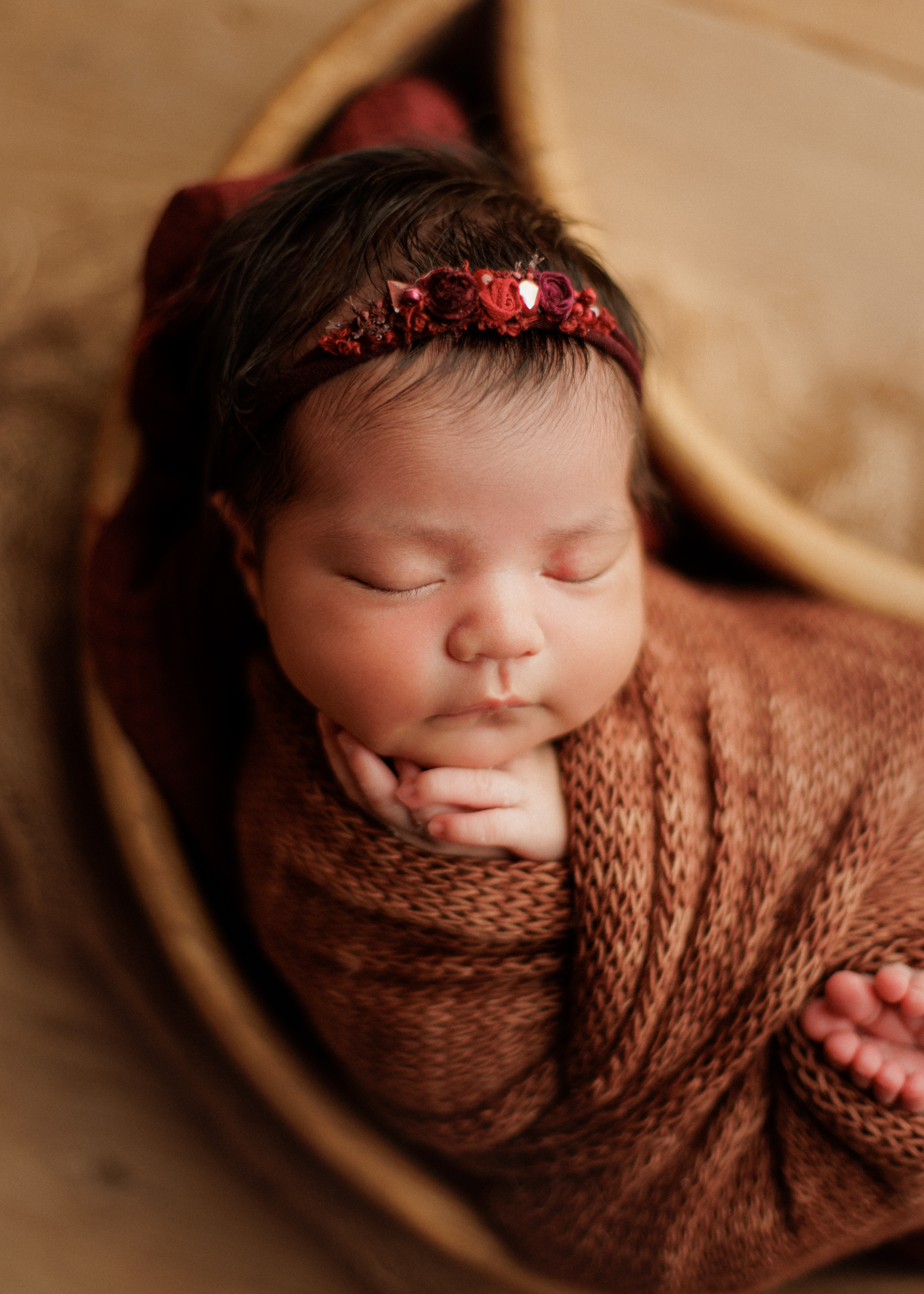 Chicagoland newborn photography