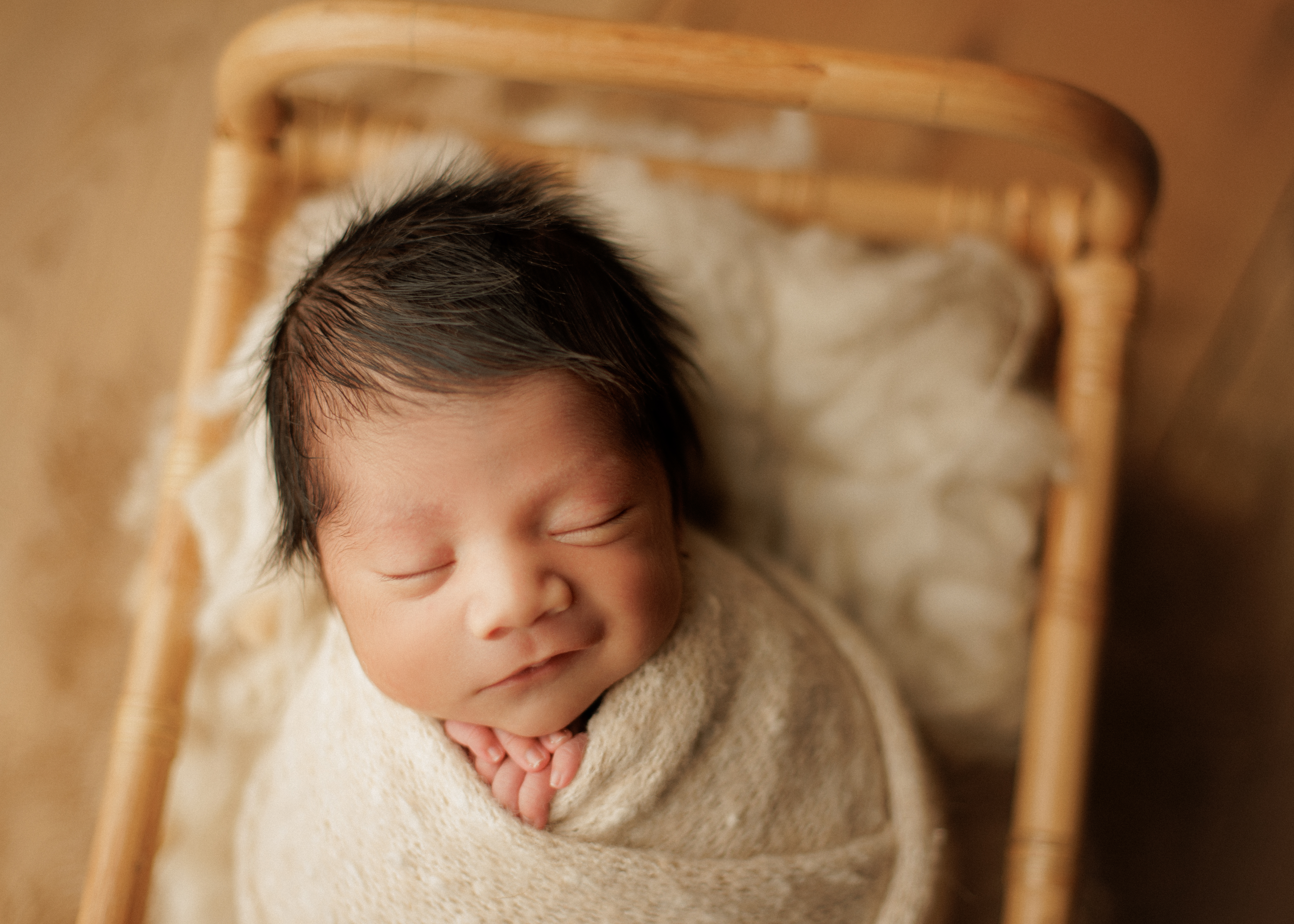 newborn photographer Chicago