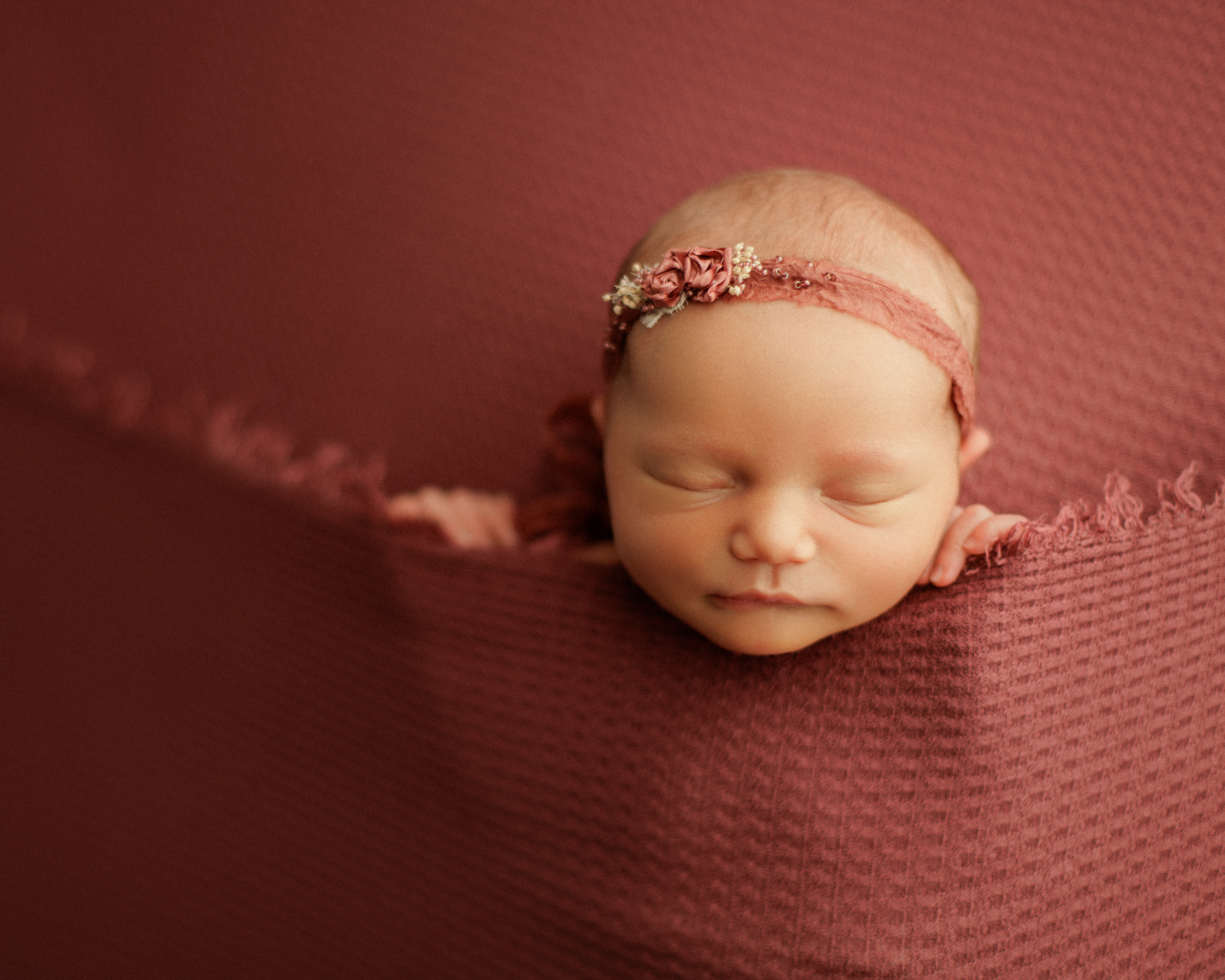 newborn photography Chicago