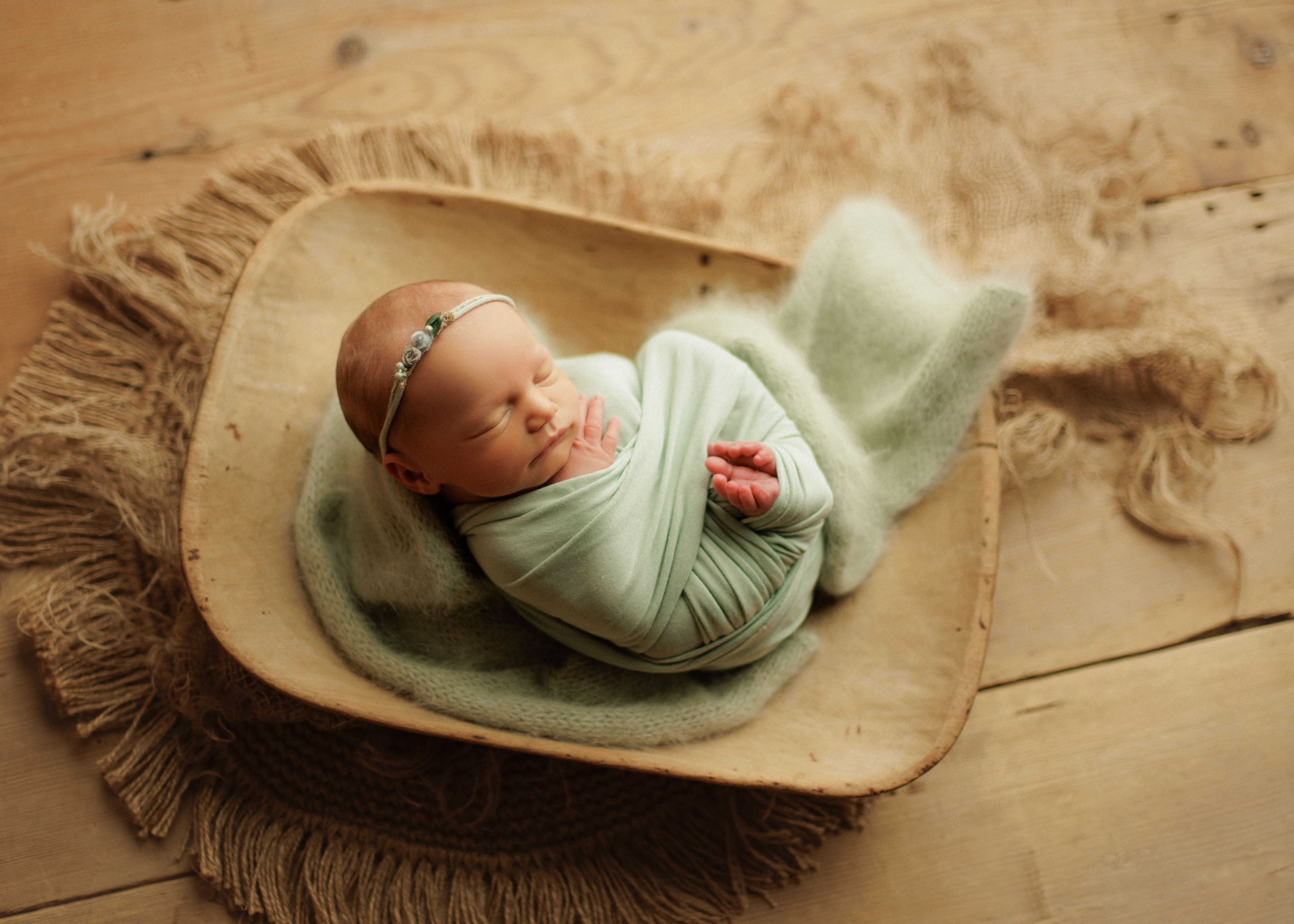 Chicago newborn baby photographer