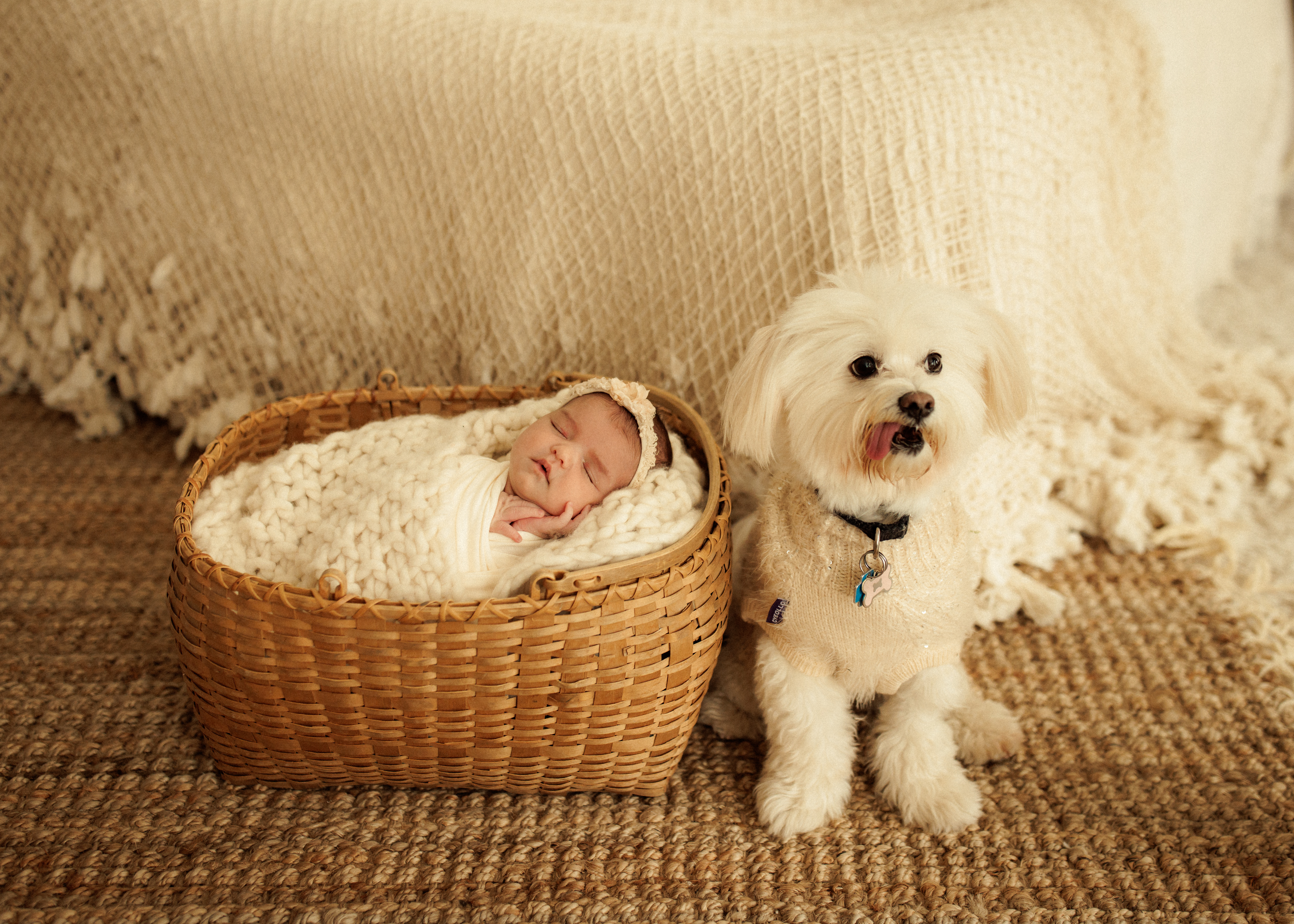 newborn photographer Chicago