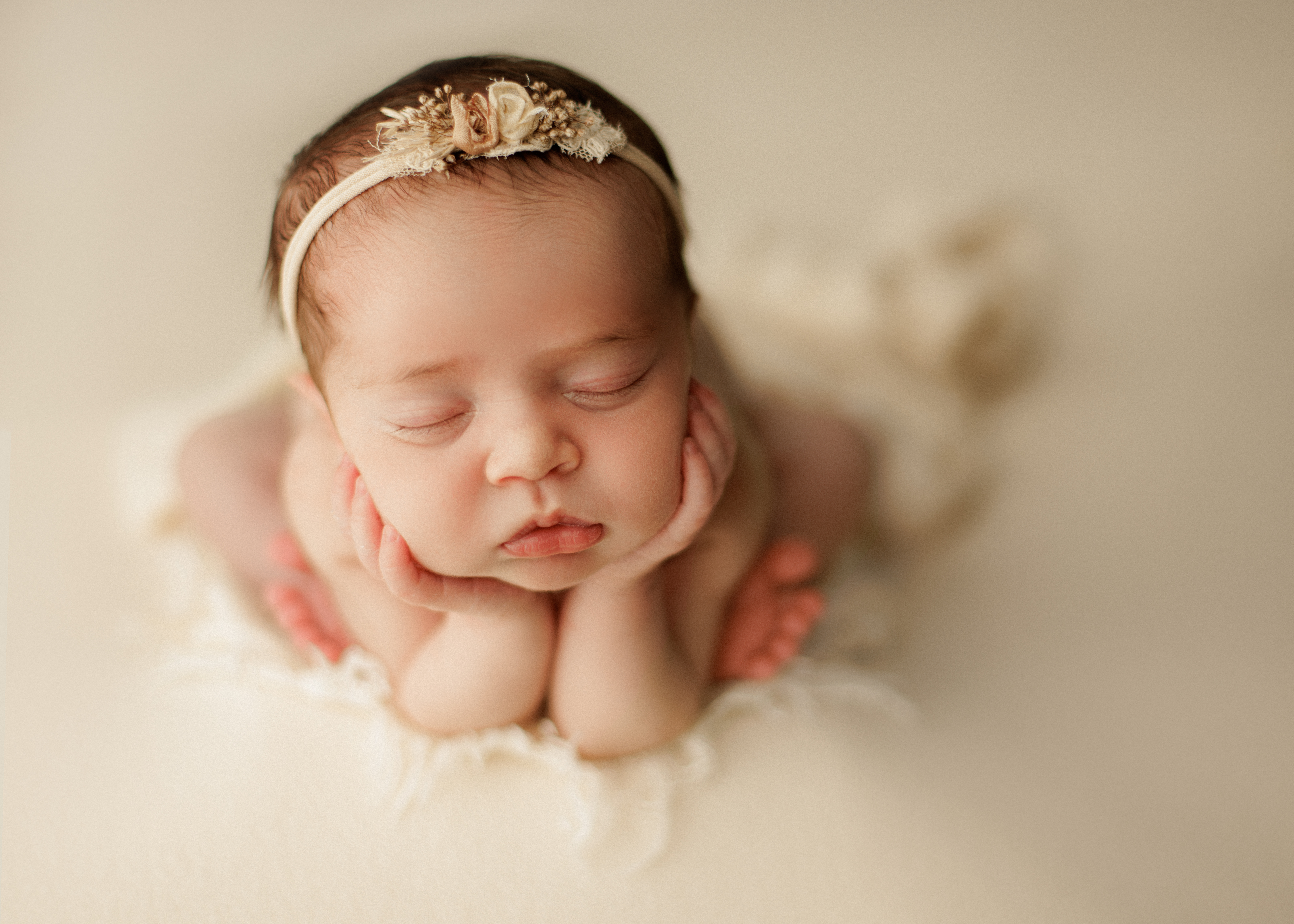 newborn photographer Evanston