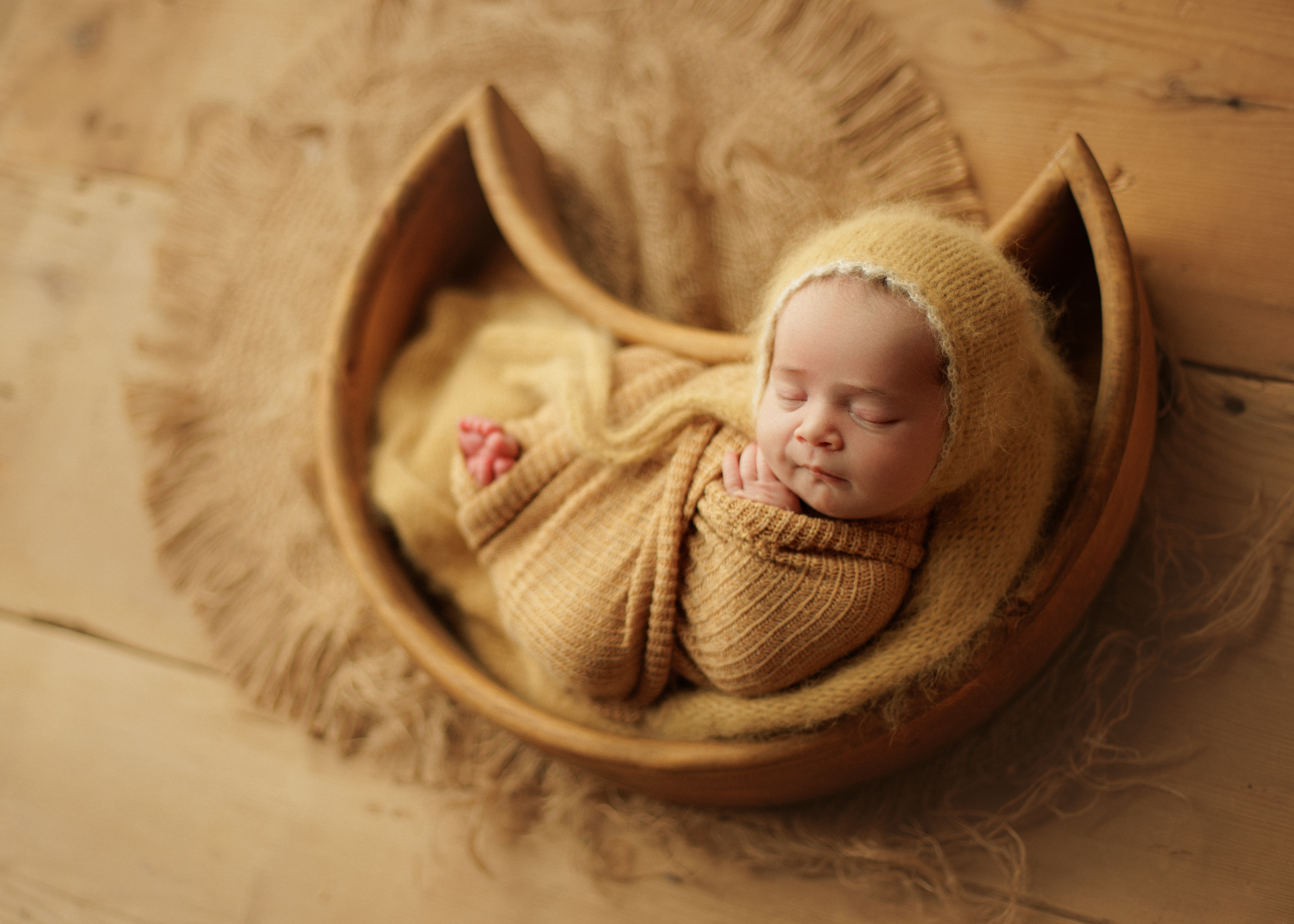 Evanston newborn photographer