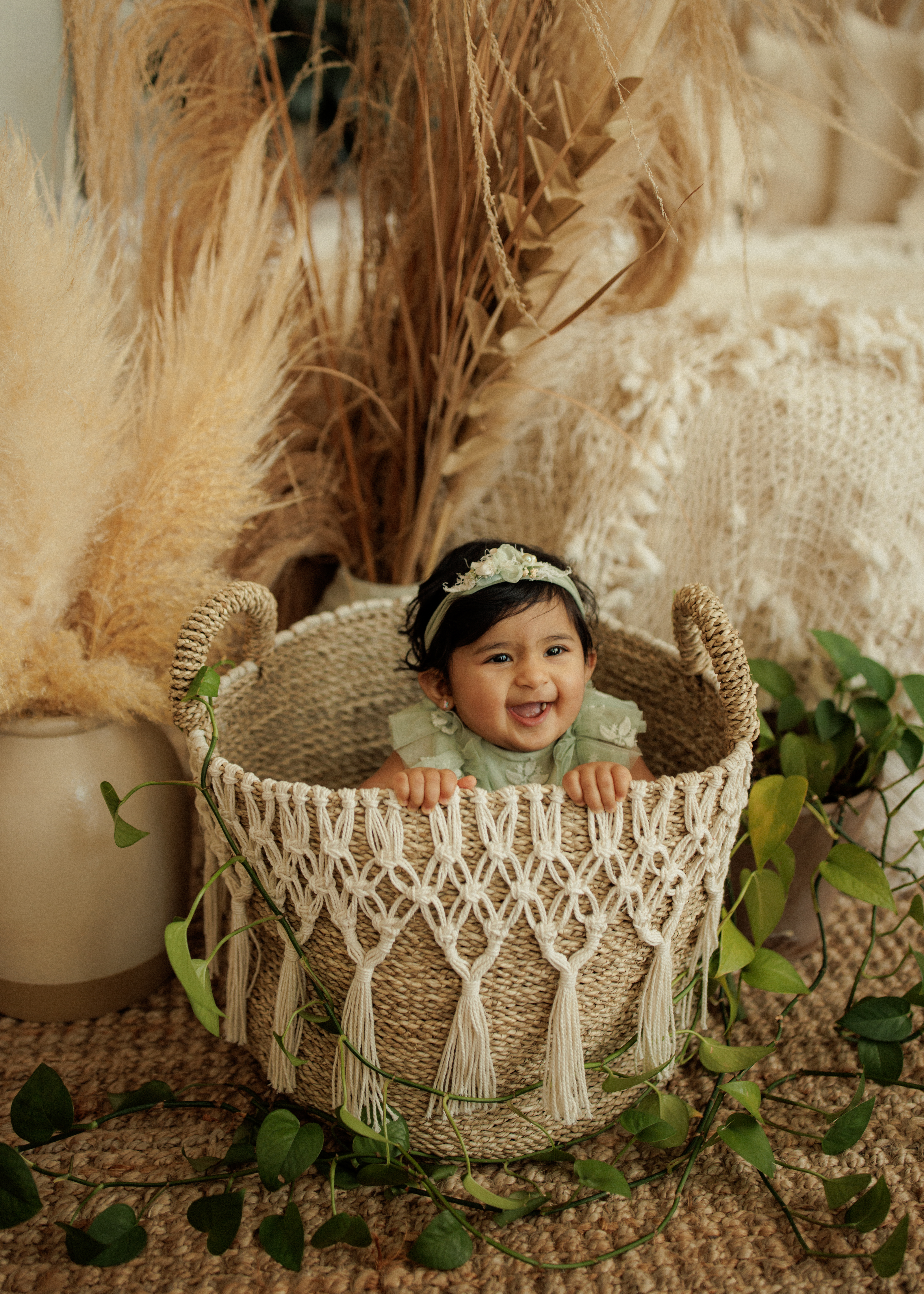 baby girl in basket Chicago