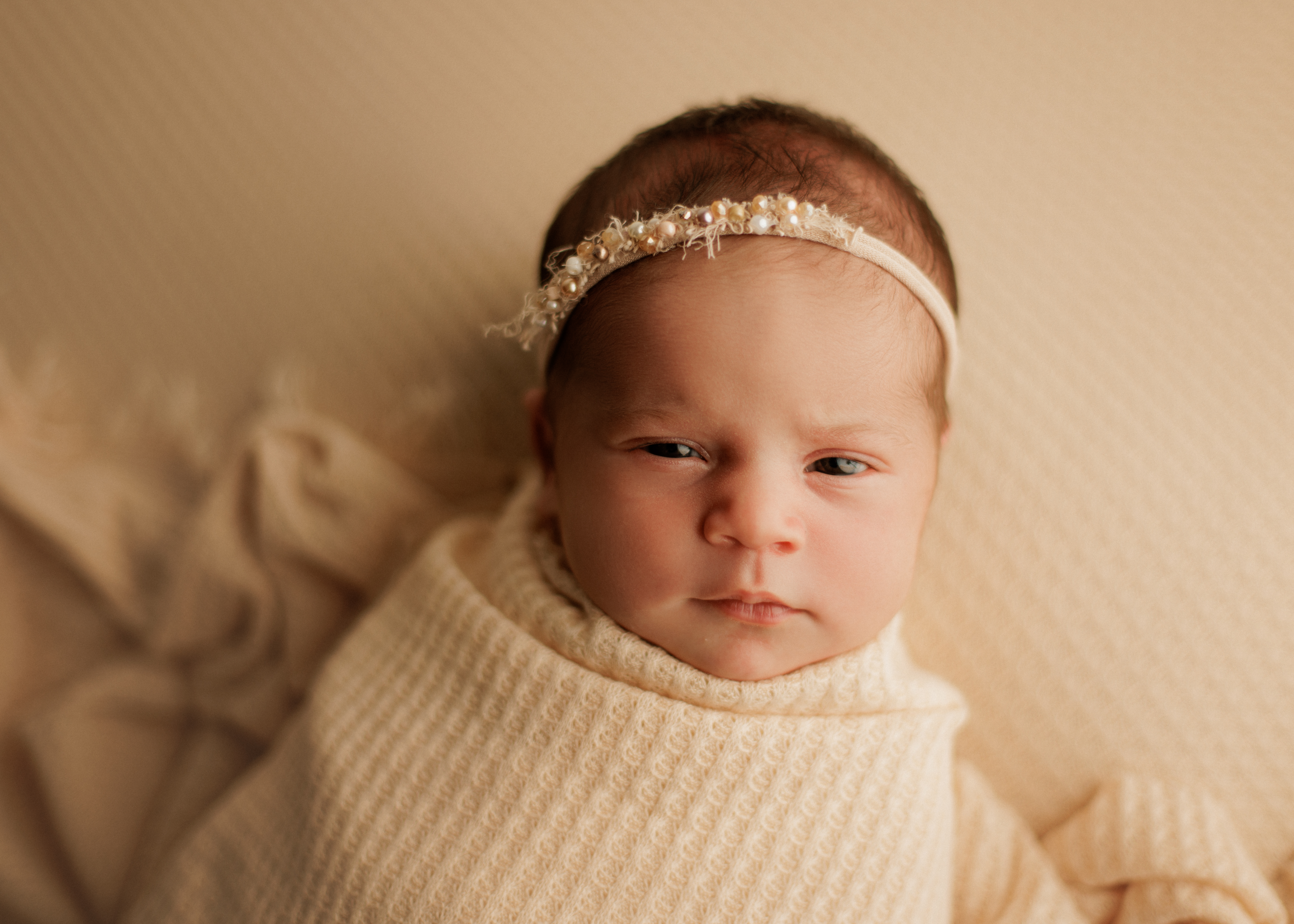 Roselle newborn photos