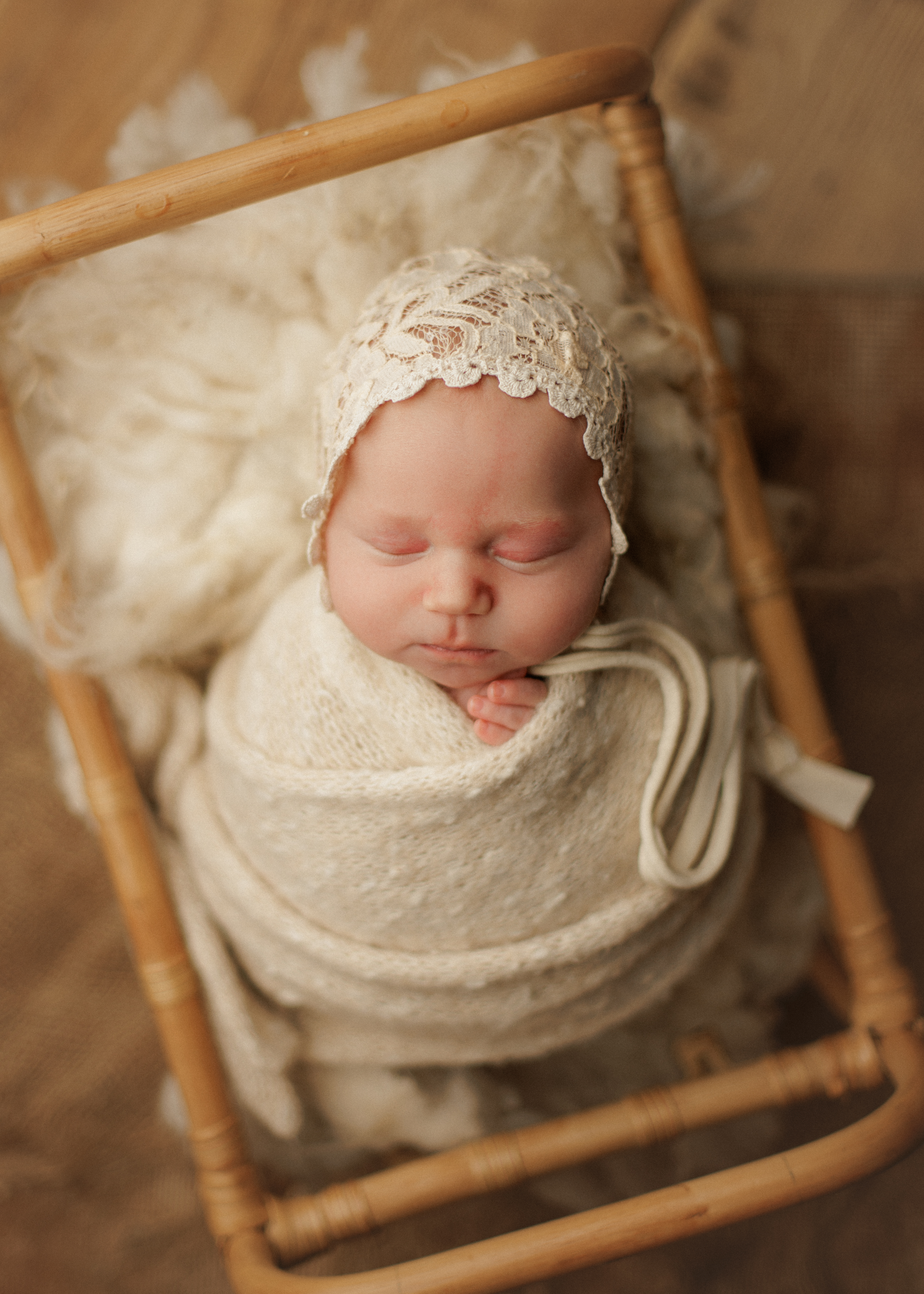 newborn photography Glenview