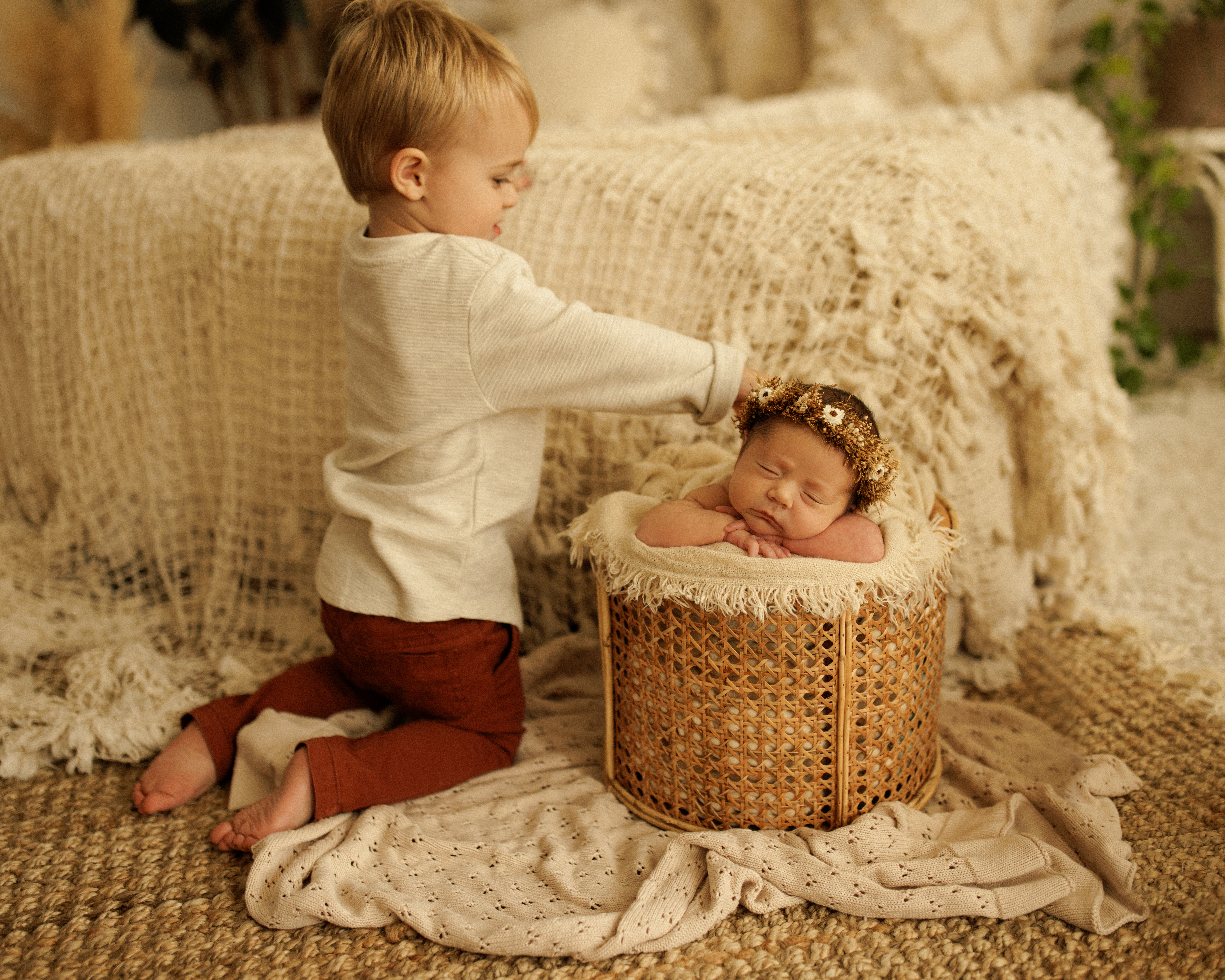 Chicago newborn photographer