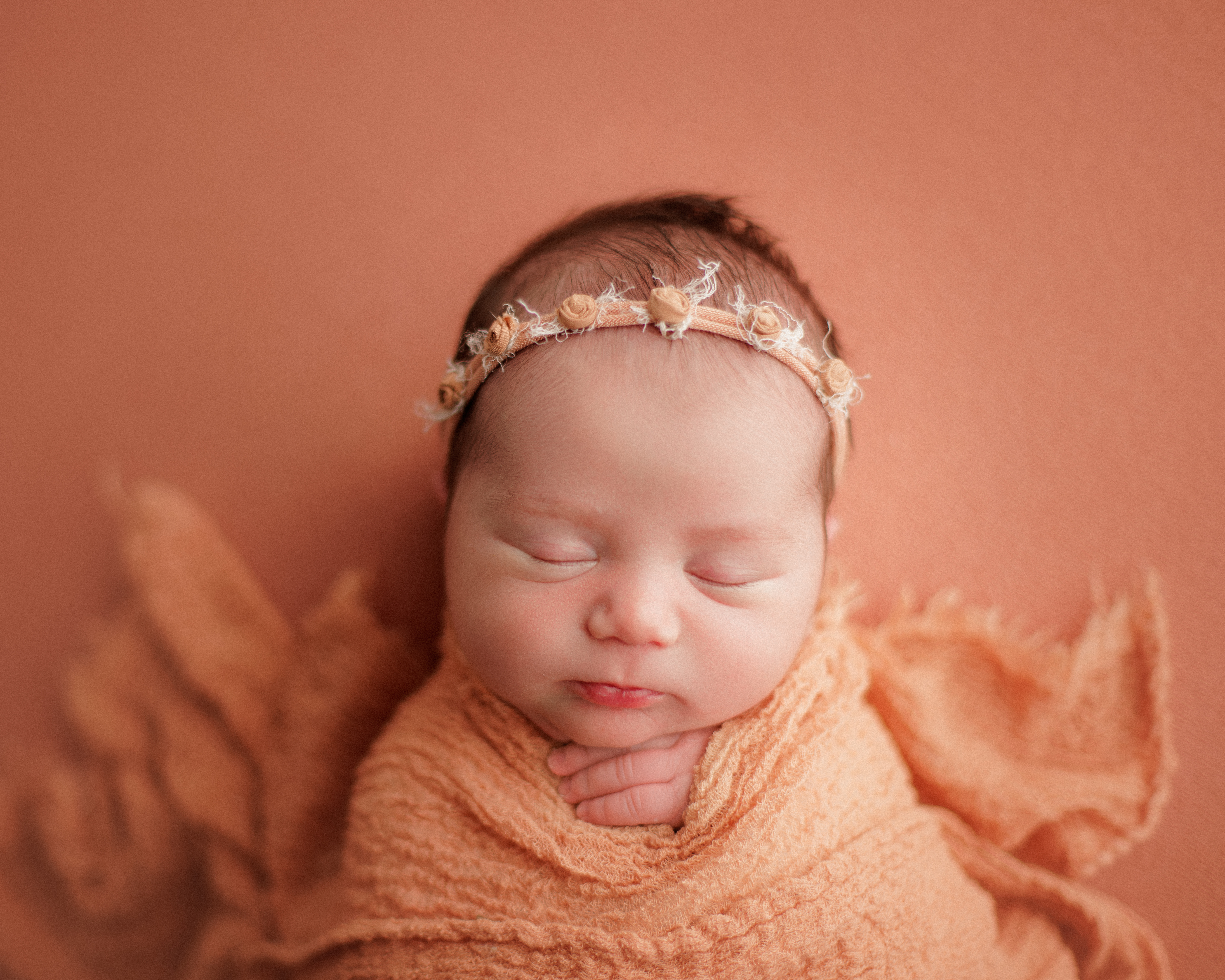 Chicago newborn photographer