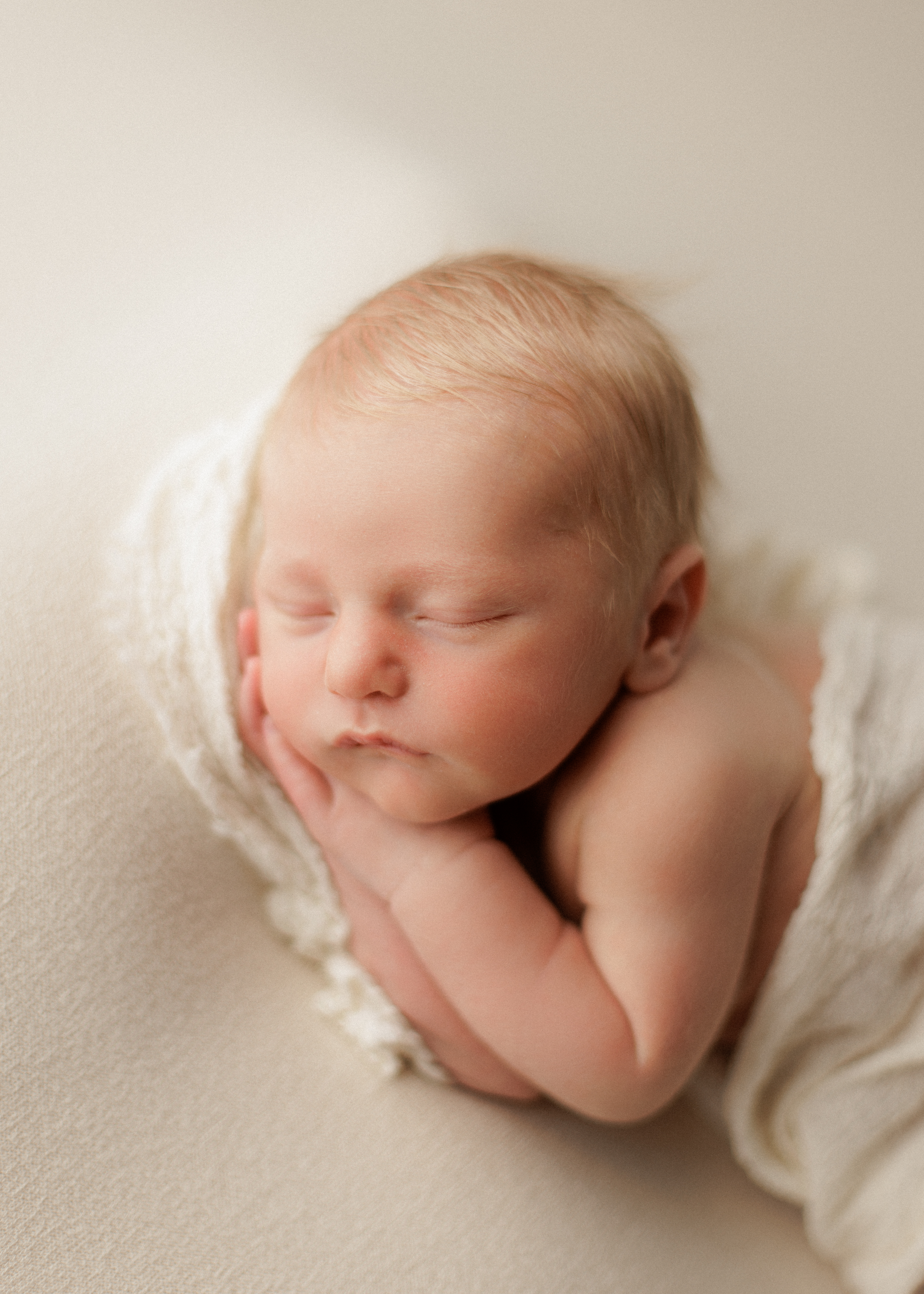 Chicago newborn photographer