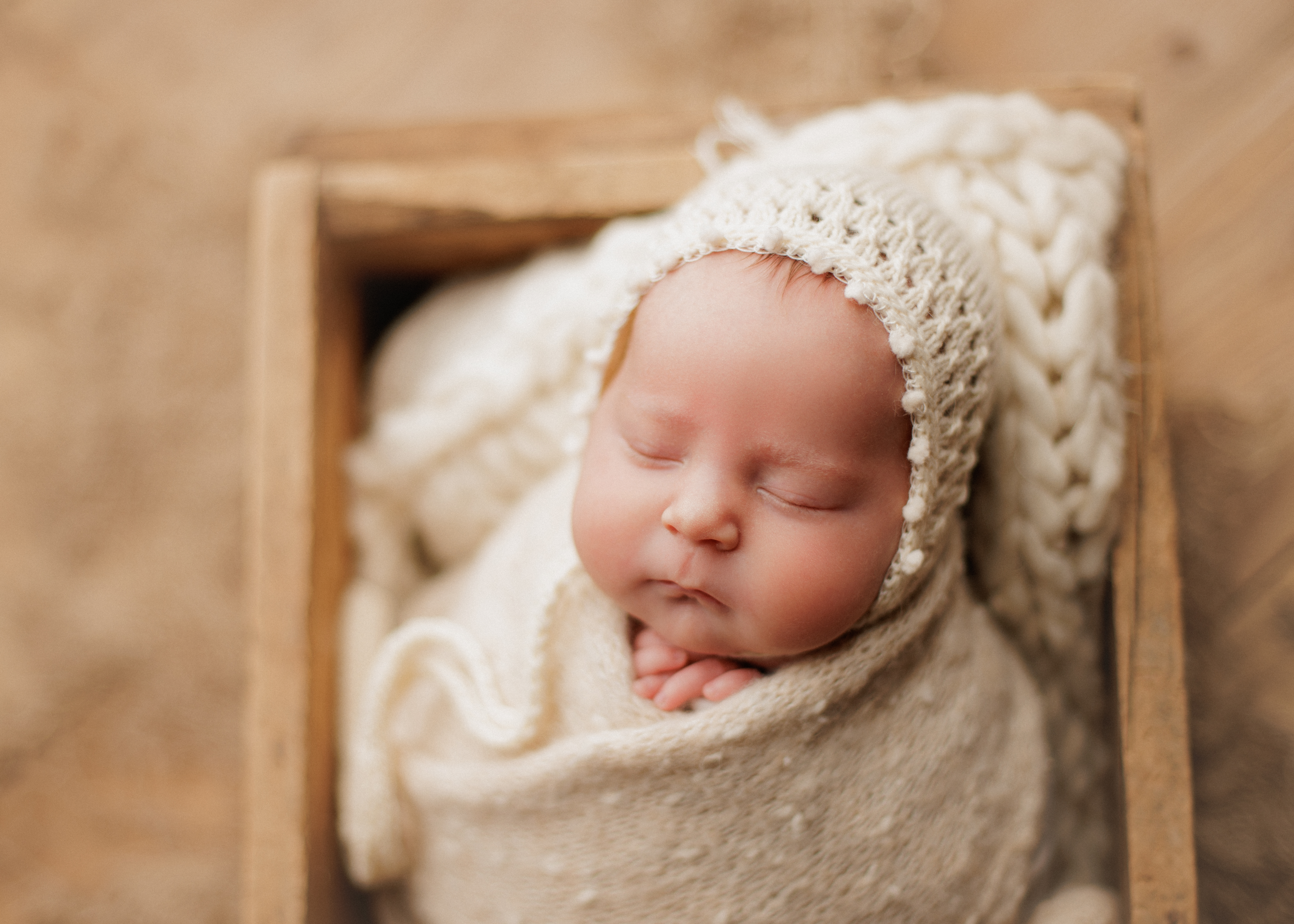 newborn photographer Chicago