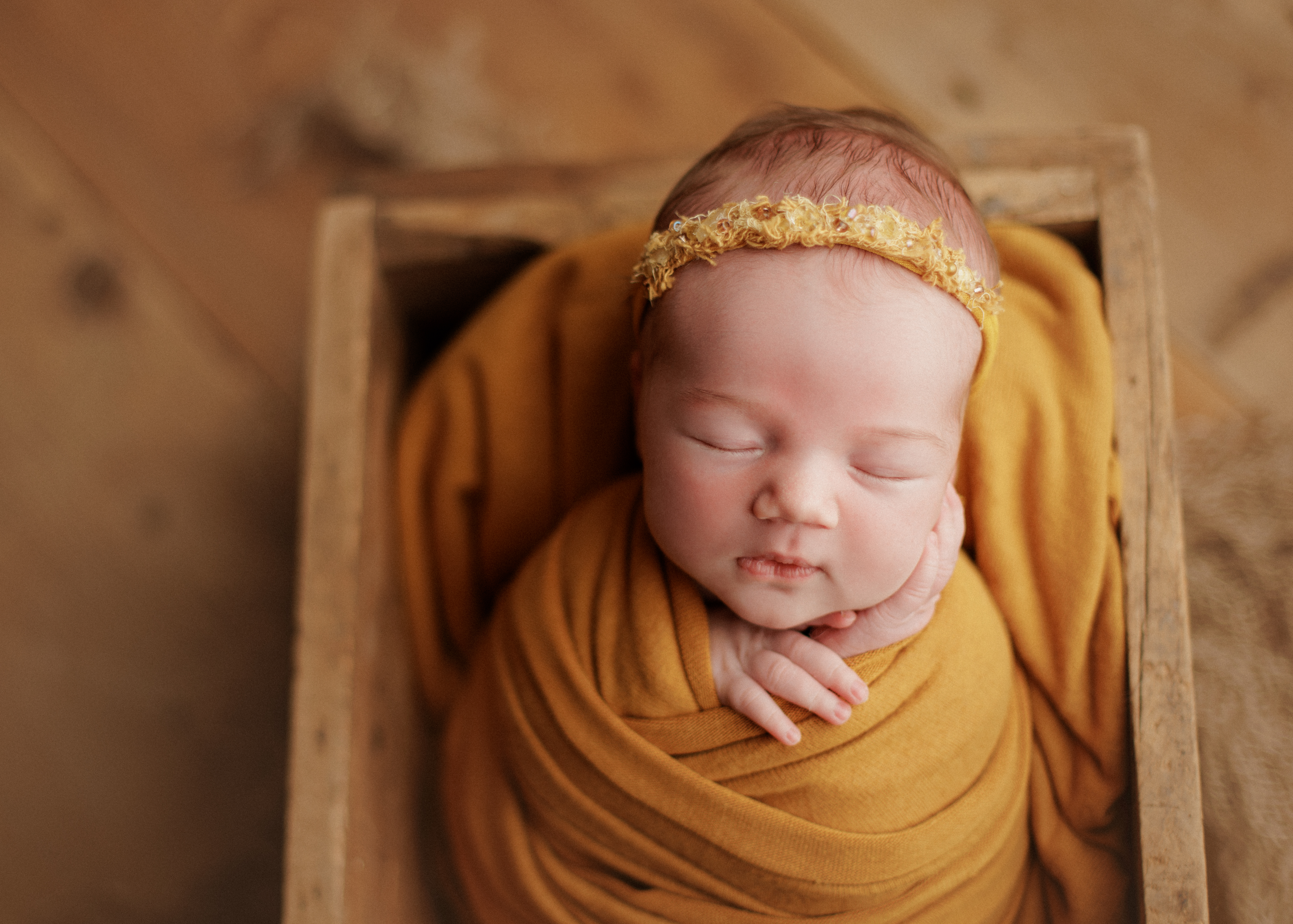 Chicago posed newborn photographer