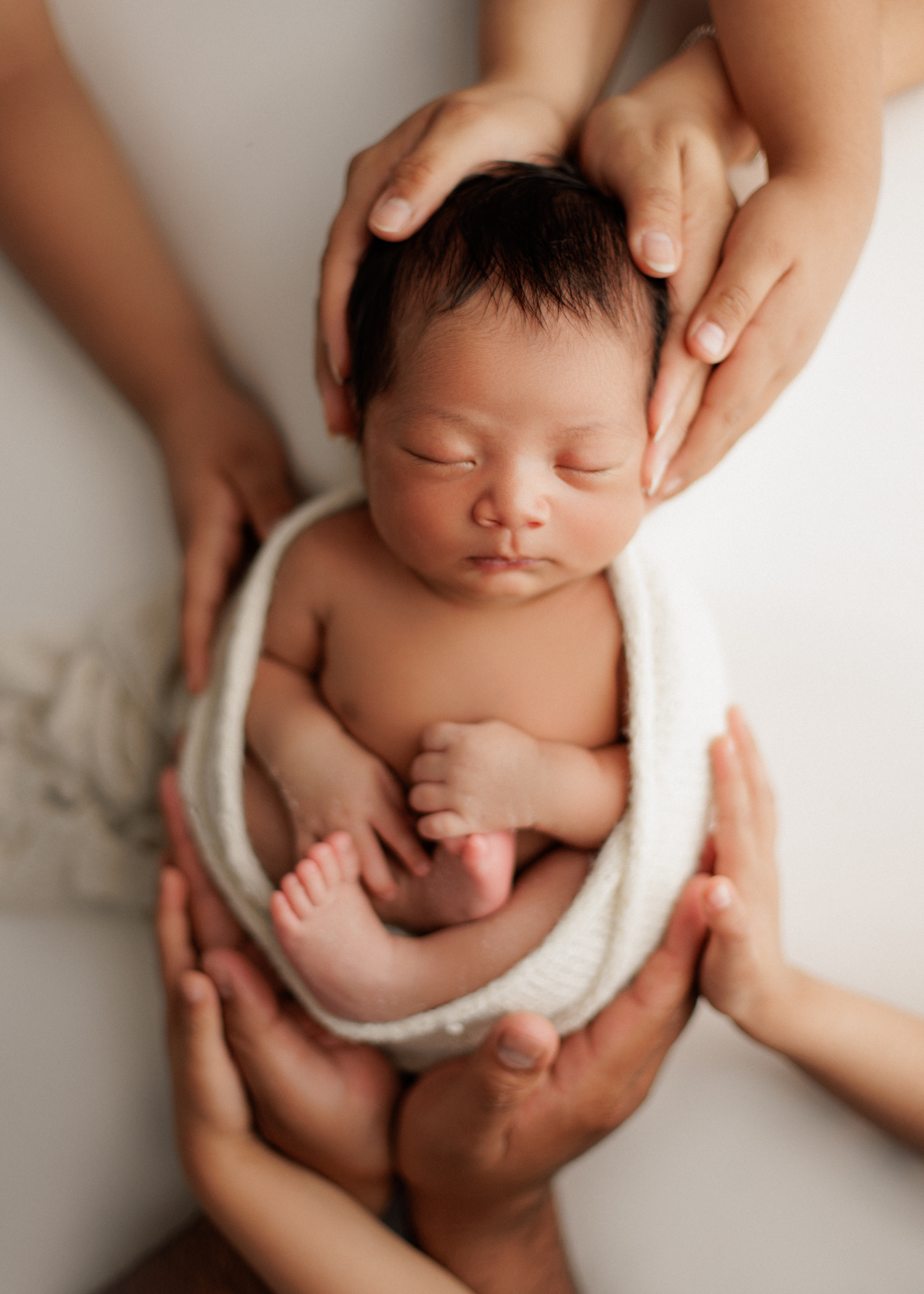 Chicago newborn photography