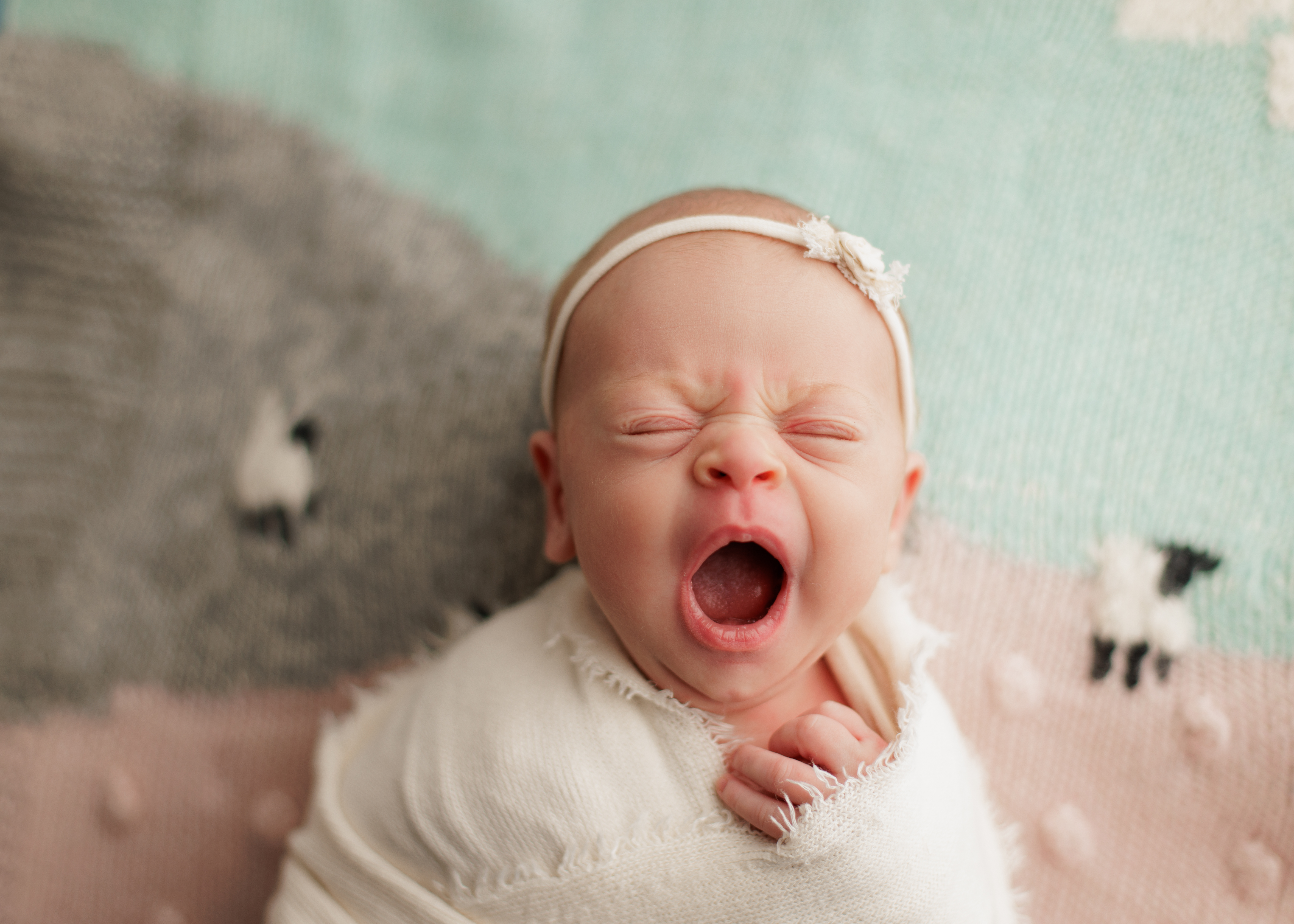 gorgeous newborn baby photographed in Chicago