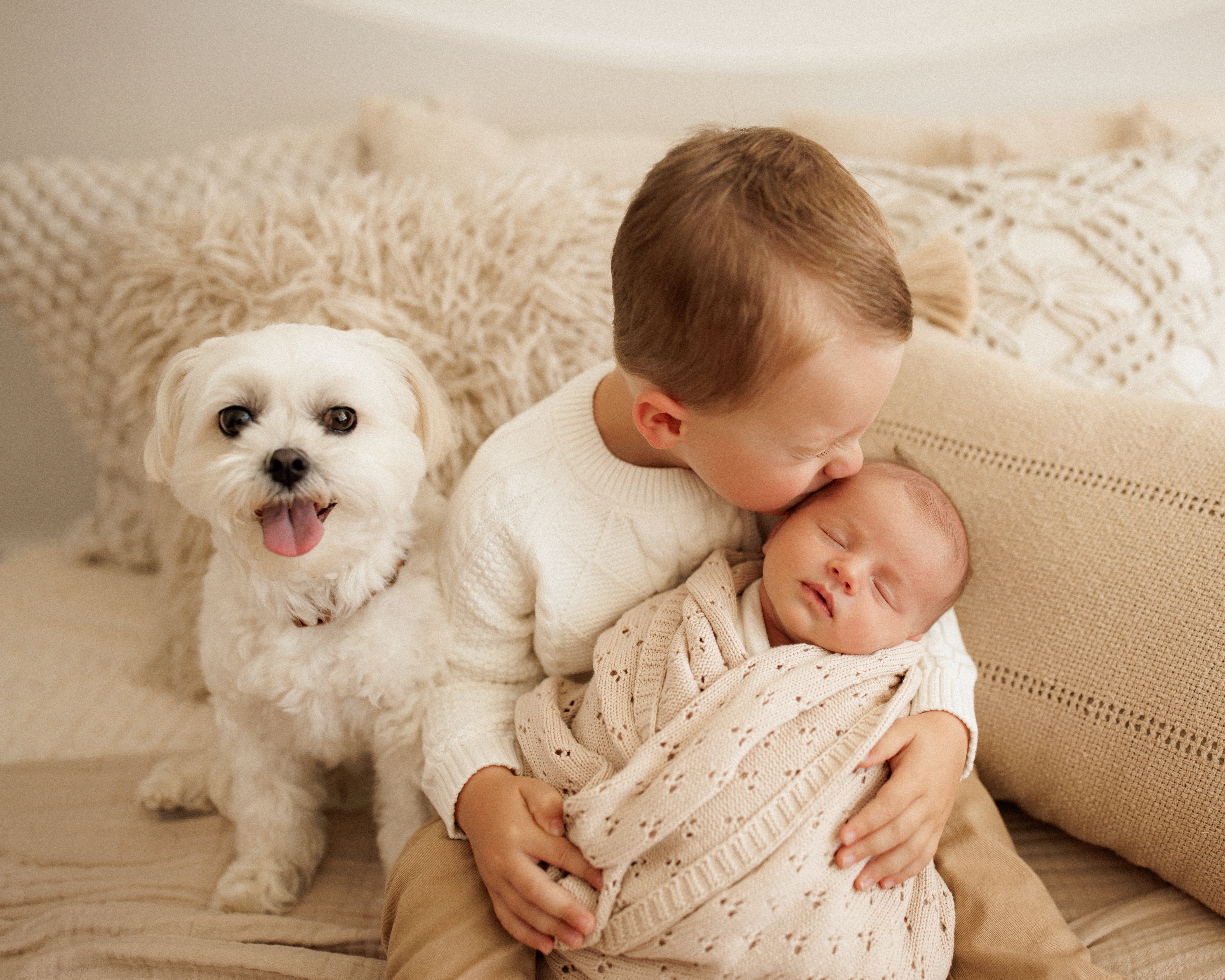 big brother baby and dog newborn photos