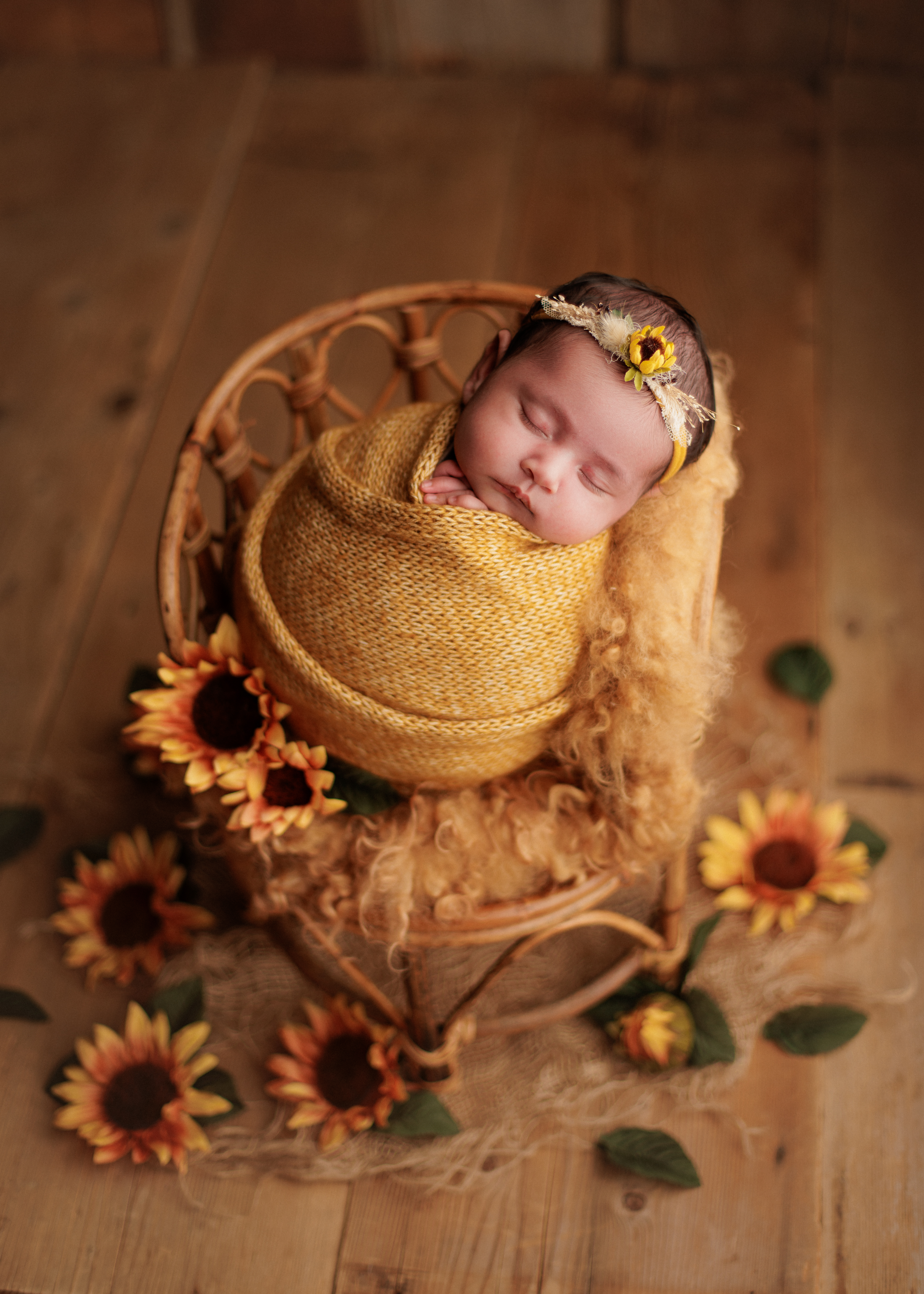 posed newborn photos in Chicago