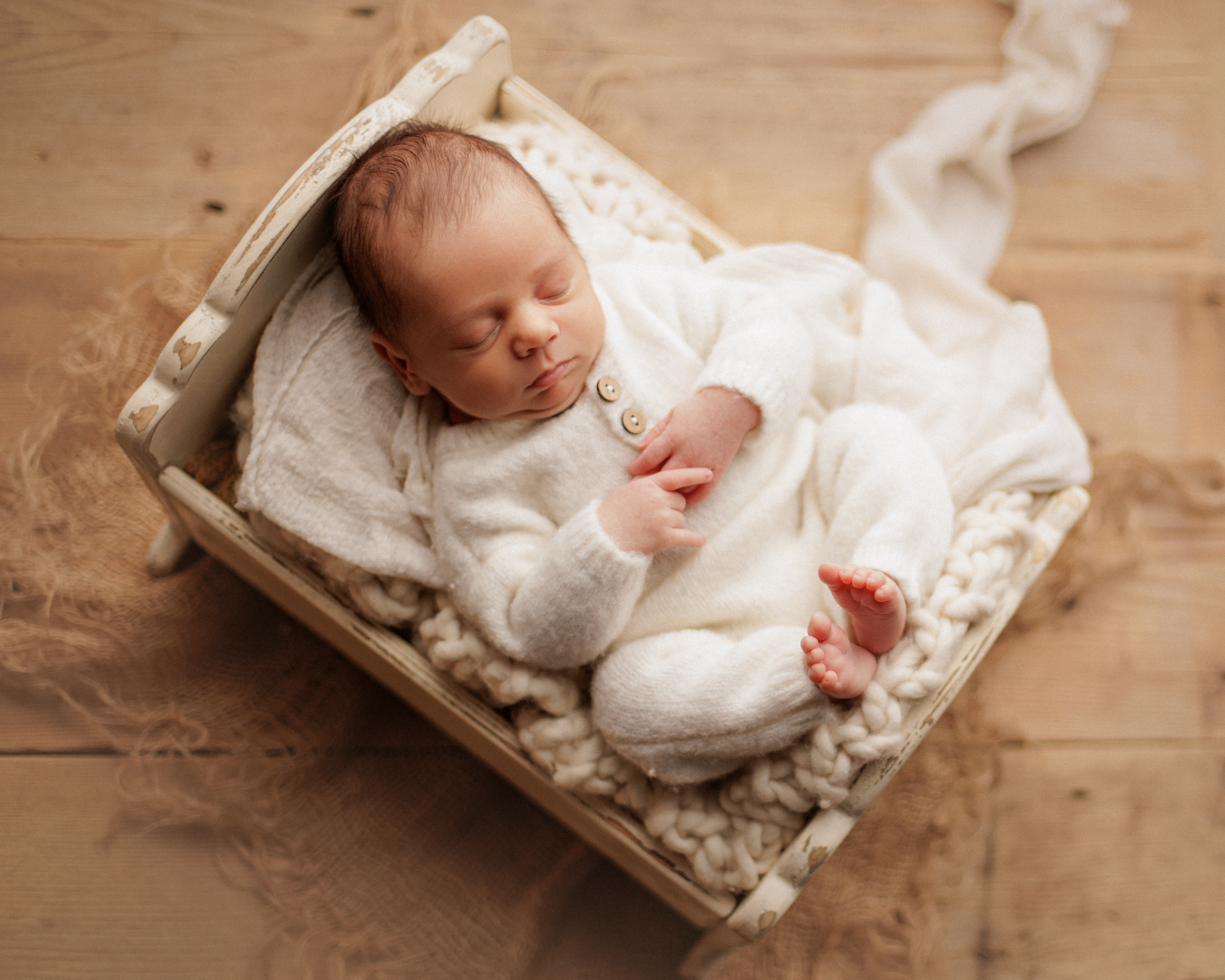 newborn photographer Chicago