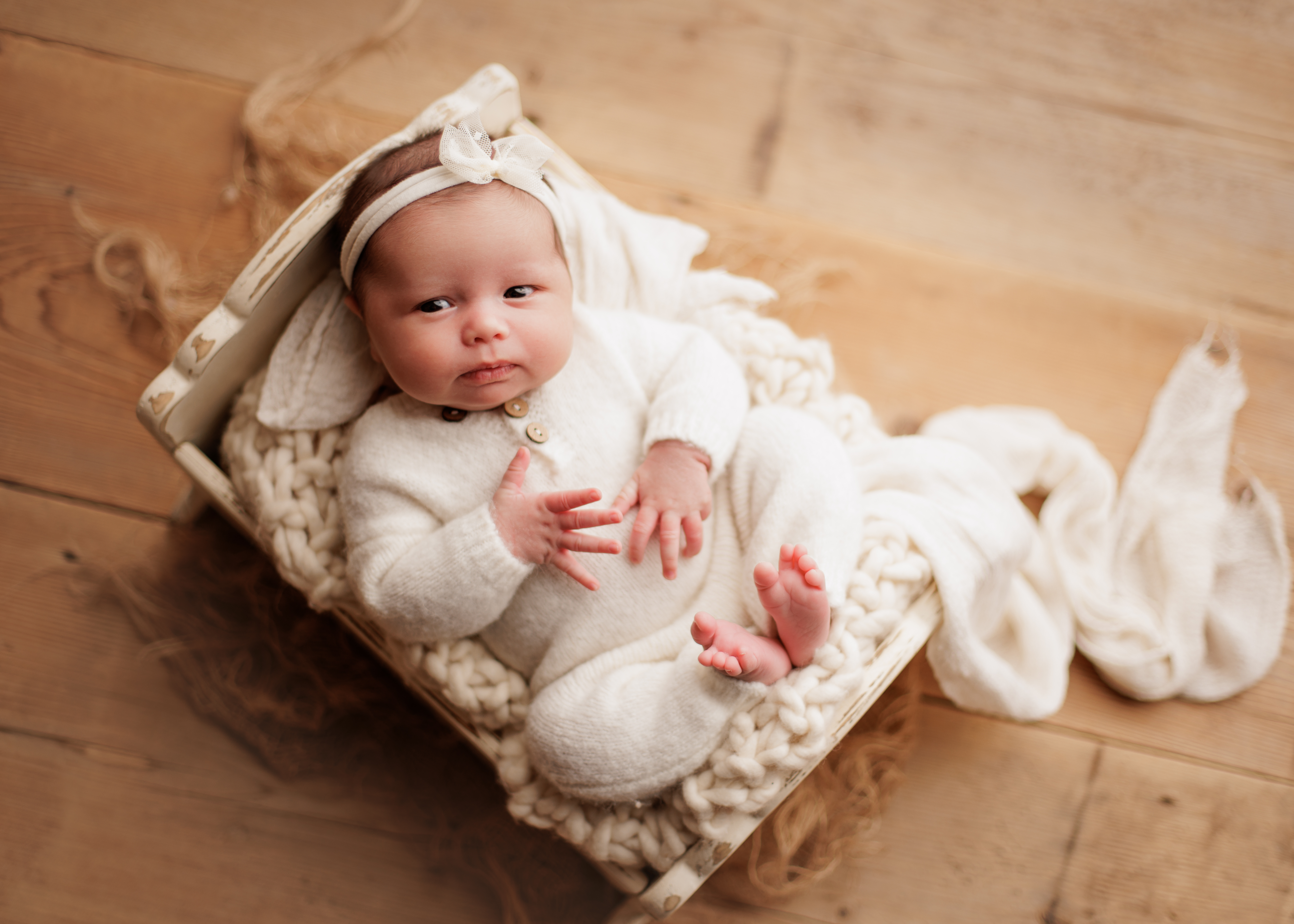 newborn photographer Chicago area